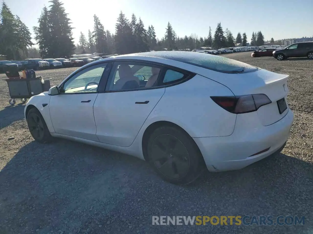 2 Photograph of a damaged car 5YJ3E1EA3PF587618 TESLA MODEL 3 2023