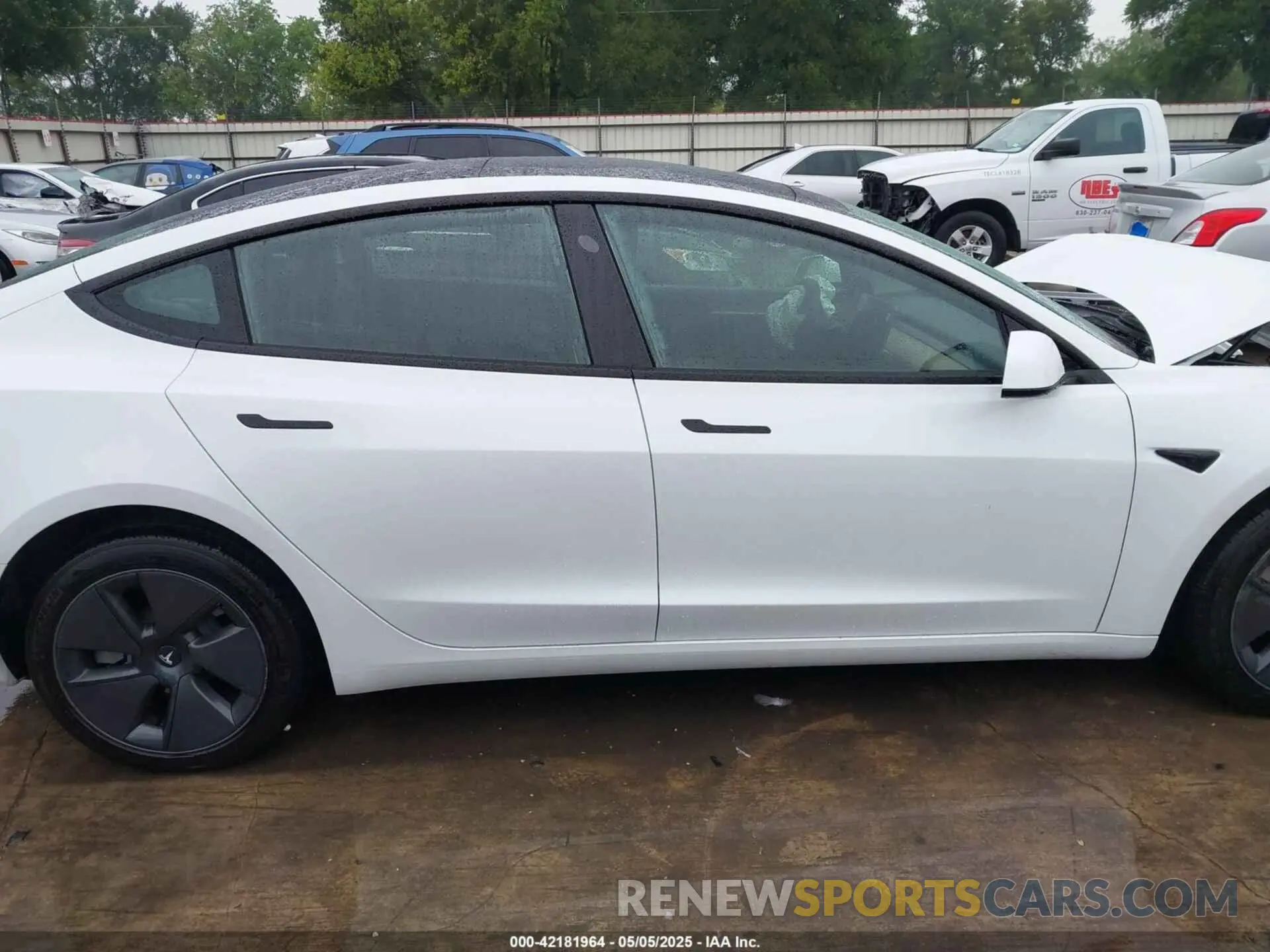 12 Фотография поврежденного автомобиля 5YJ3E1EA3PF604076 TESLA MODEL 3 2023