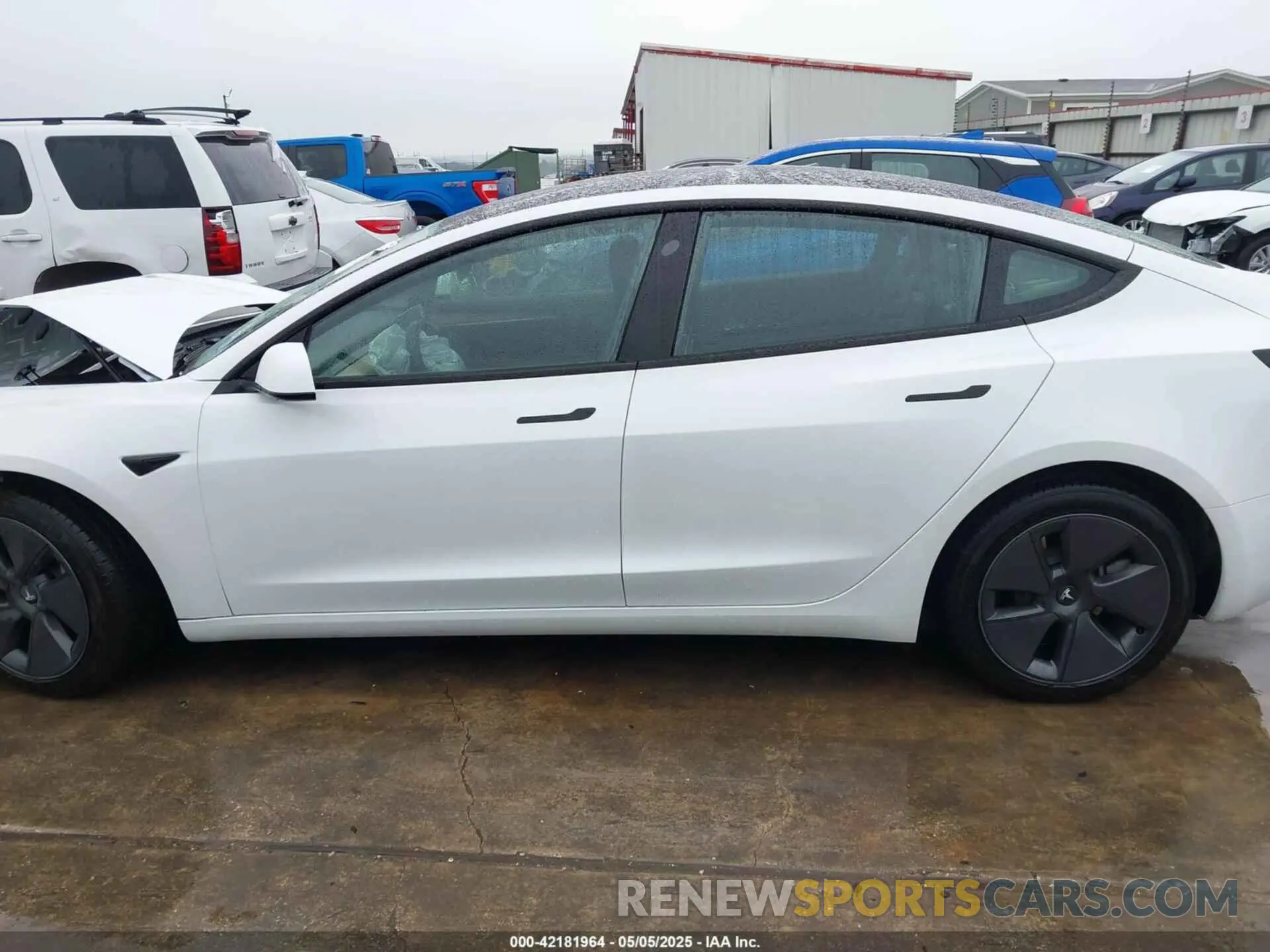 13 Фотография поврежденного автомобиля 5YJ3E1EA3PF604076 TESLA MODEL 3 2023