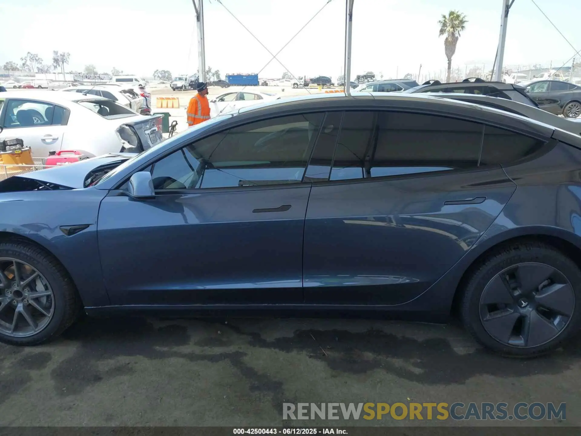 13 Фотография поврежденного автомобиля 5YJ3E1EA3PF622898 TESLA MODEL 3 2023