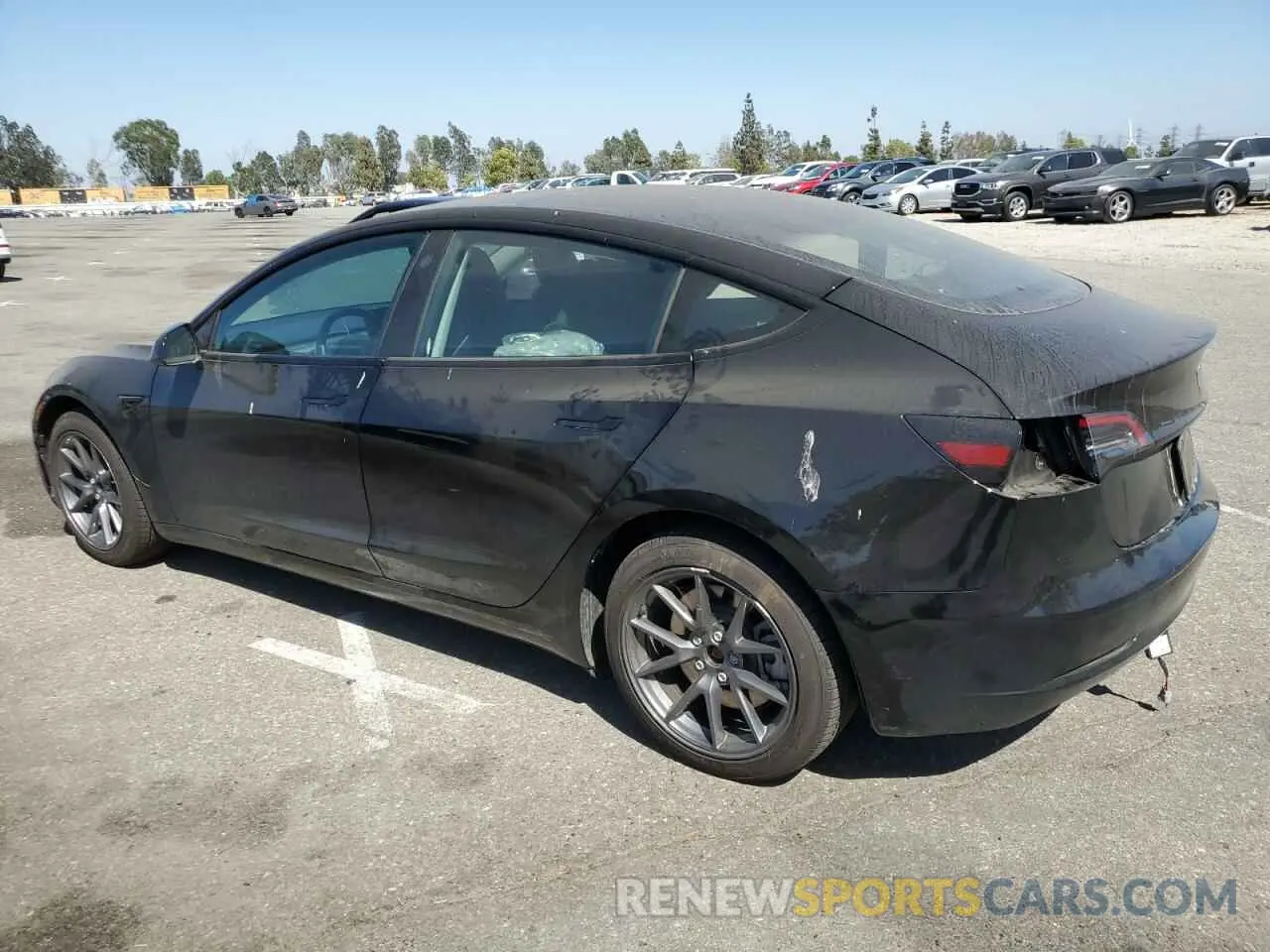 2 Photograph of a damaged car 5YJ3E1EA3PF654850 TESLA MODEL 3 2023