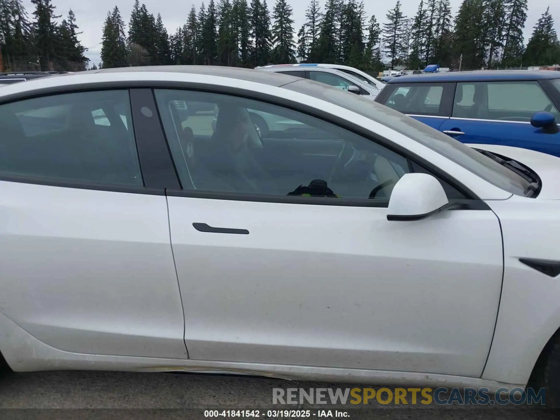 12 Фотография поврежденного автомобиля 5YJ3E1EA3PF672815 TESLA MODEL 3 2023