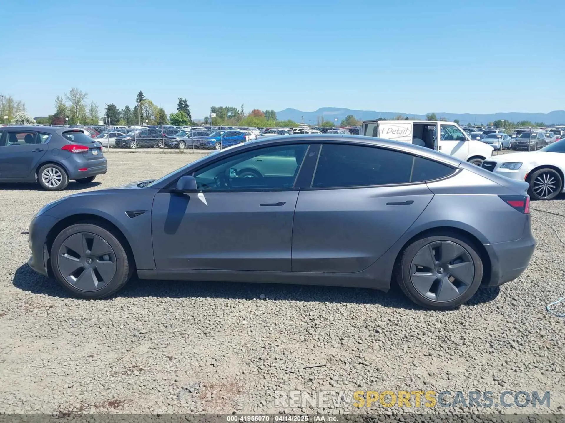 14 Photograph of a damaged car 5YJ3E1EA3PF705831 TESLA MODEL 3 2023