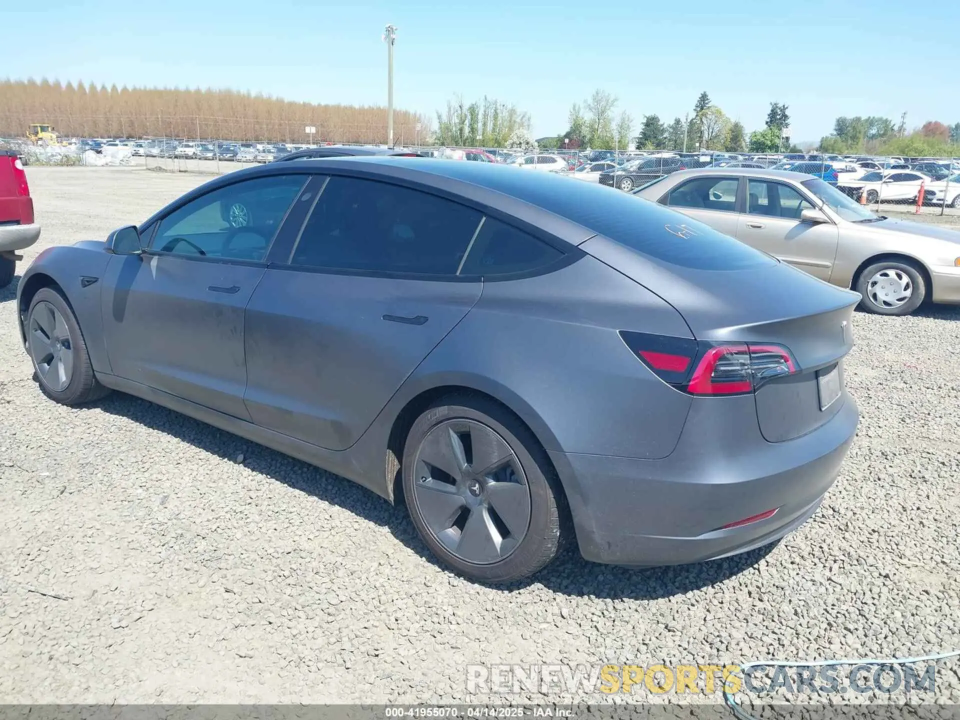 3 Photograph of a damaged car 5YJ3E1EA3PF705831 TESLA MODEL 3 2023