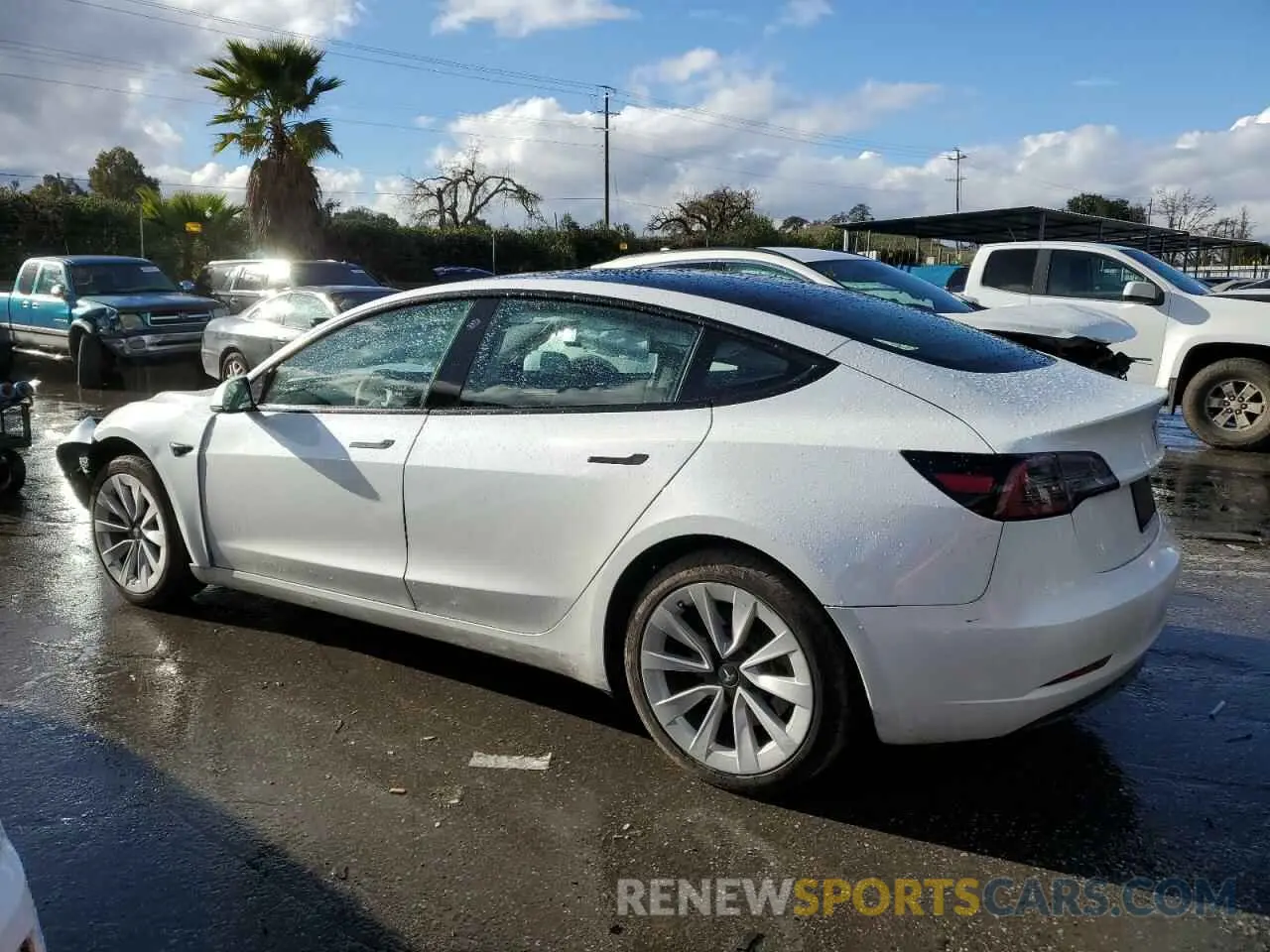 2 Photograph of a damaged car 5YJ3E1EA4PF430146 TESLA MODEL 3 2023