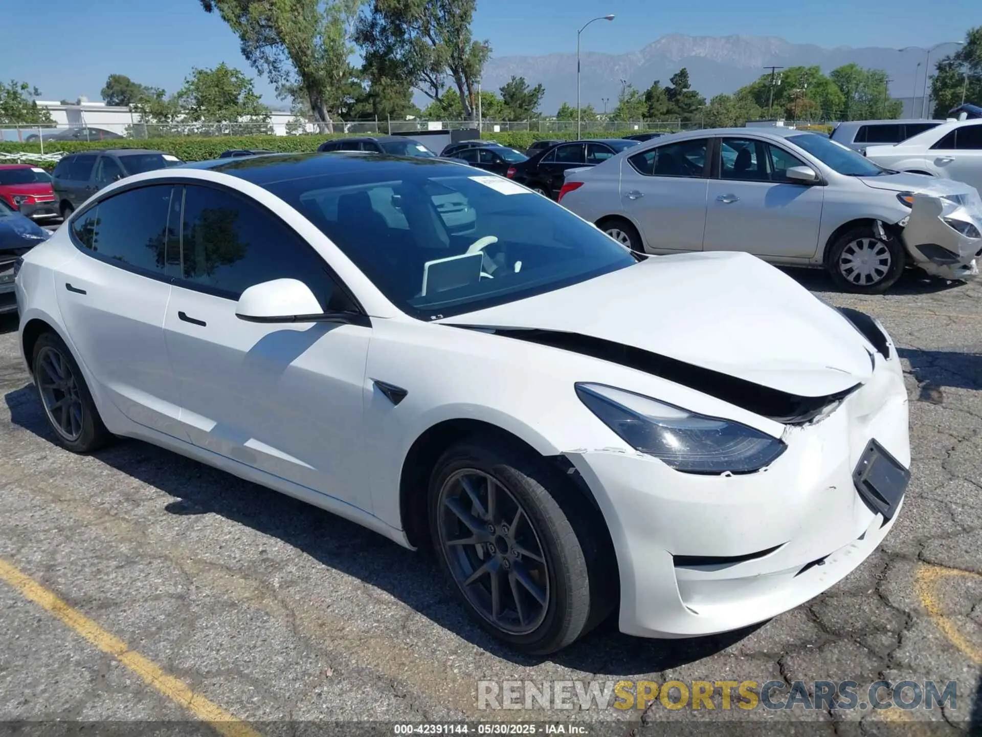 1 Фотография поврежденного автомобиля 5YJ3E1EA4PF453359 TESLA MODEL 3 2023