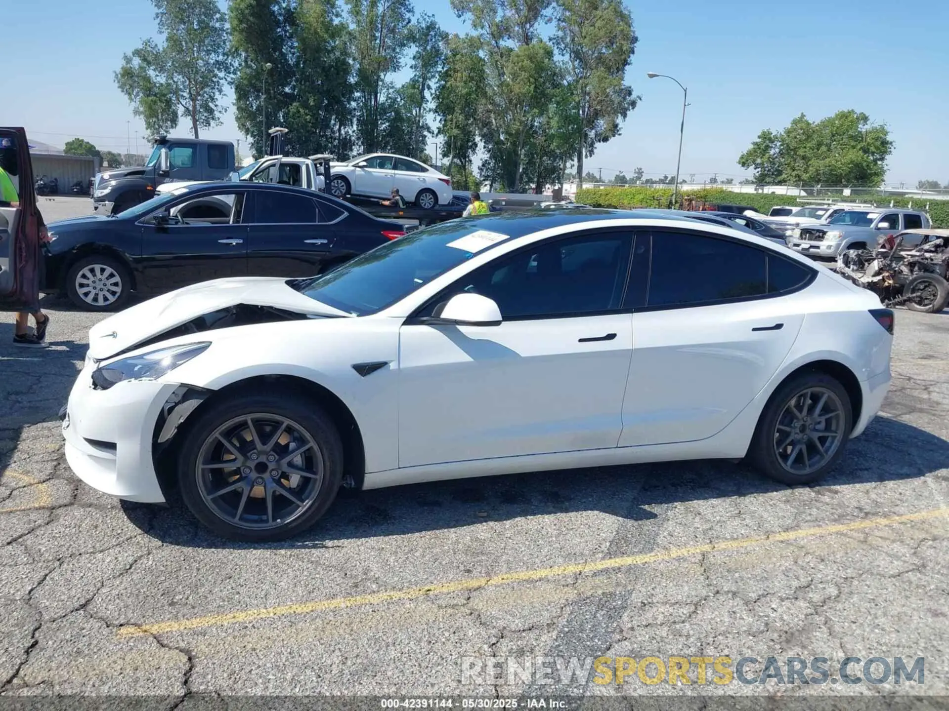14 Фотография поврежденного автомобиля 5YJ3E1EA4PF453359 TESLA MODEL 3 2023