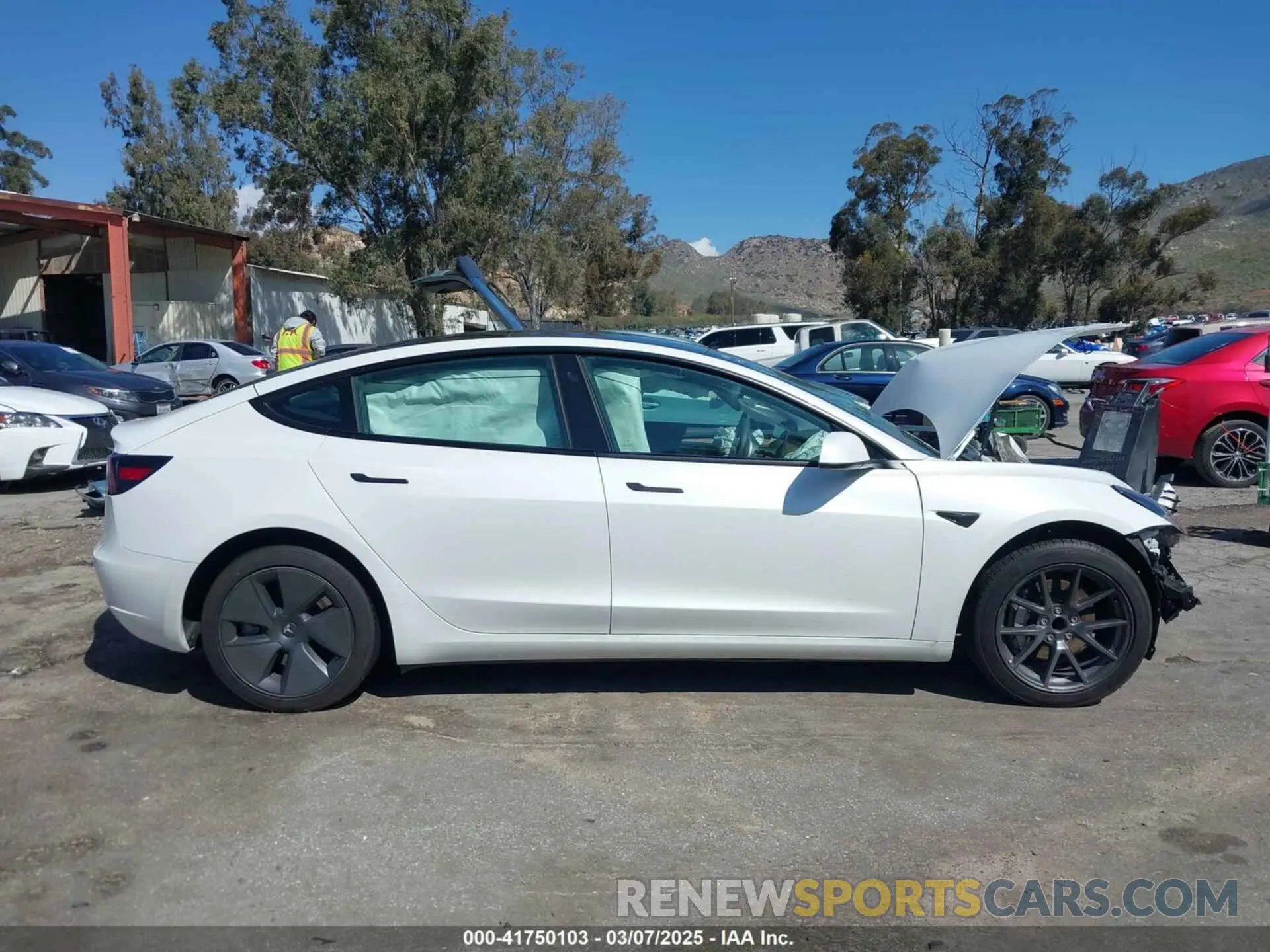 13 Photograph of a damaged car 5YJ3E1EA4PF462627 TESLA MODEL 3 2023