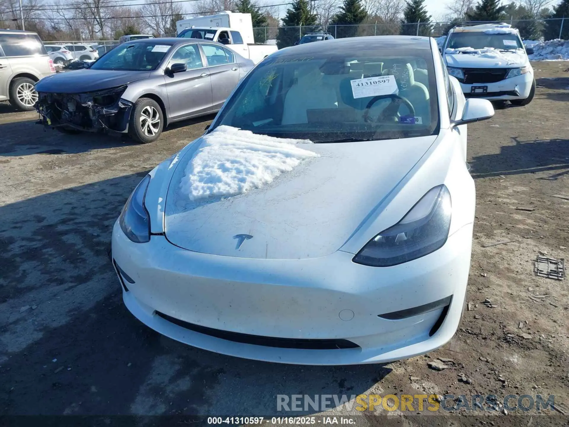 12 Фотография поврежденного автомобиля 5YJ3E1EA4PF505850 TESLA MODEL 3 2023