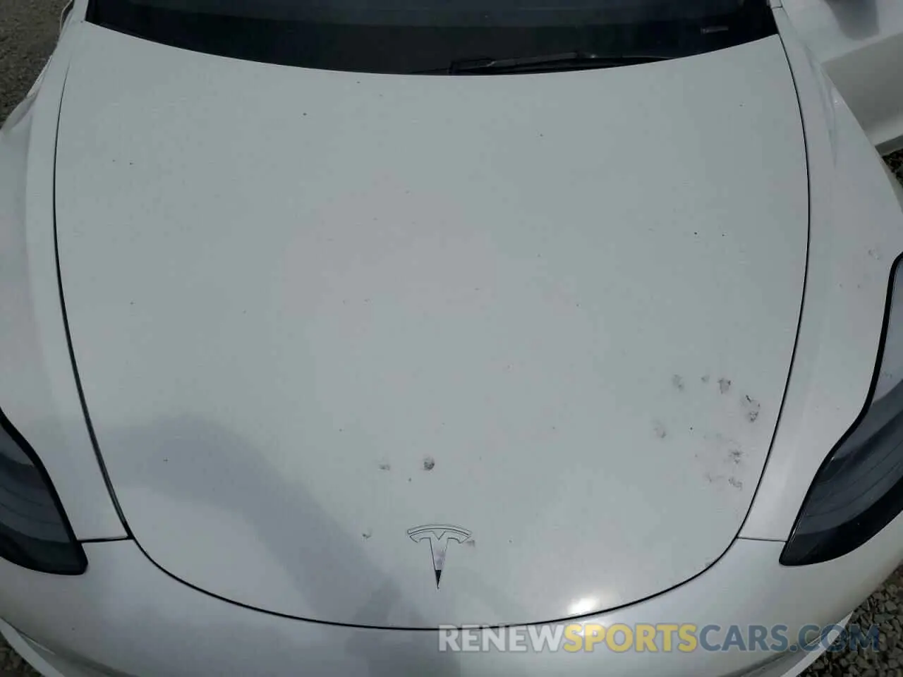 12 Photograph of a damaged car 5YJ3E1EA4PF664982 TESLA MODEL 3 2023