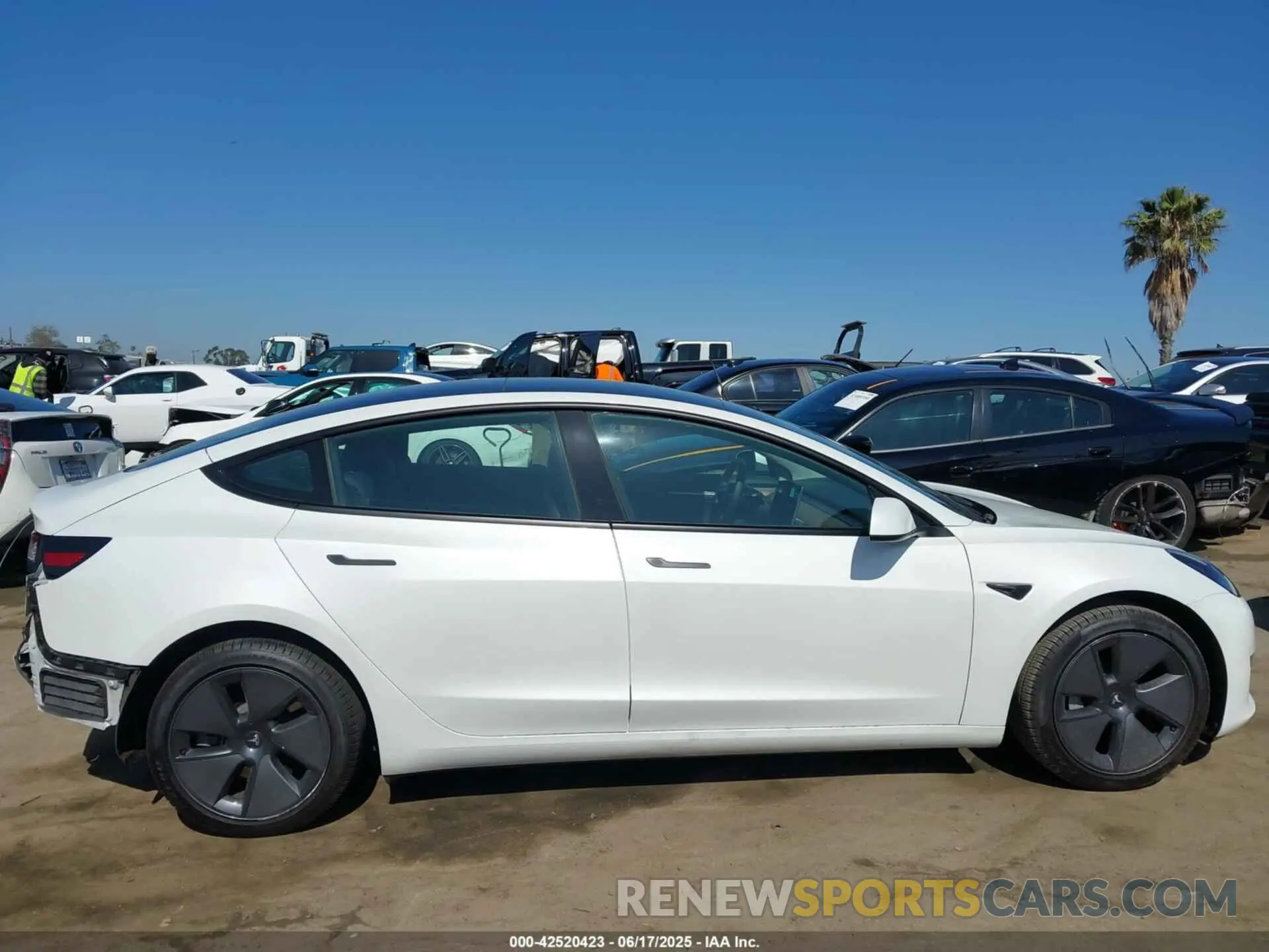 14 Фотография поврежденного автомобиля 5YJ3E1EA5PF401237 TESLA MODEL 3 2023