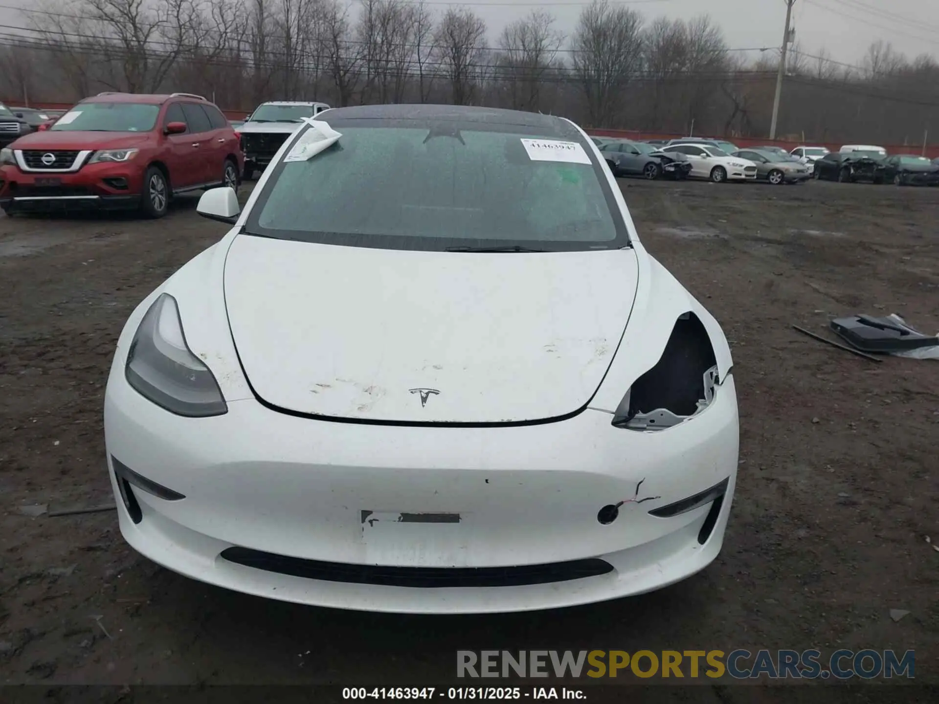12 Photograph of a damaged car 5YJ3E1EA5PF403313 TESLA MODEL 3 2023