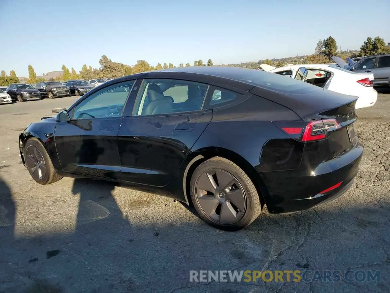 2 Фотография поврежденного автомобиля 5YJ3E1EA5PF487049 TESLA MODEL 3 2023