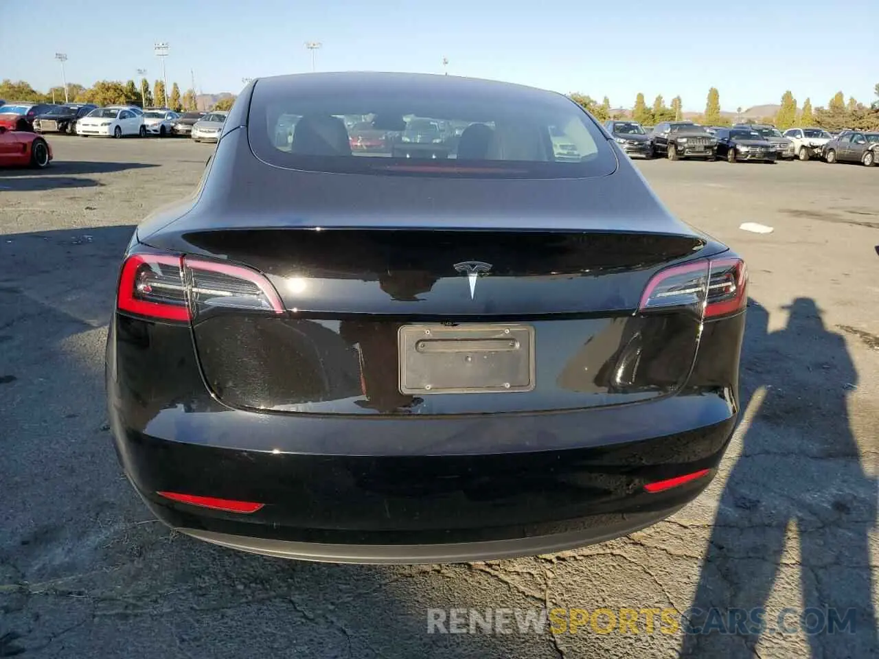6 Фотография поврежденного автомобиля 5YJ3E1EA5PF487049 TESLA MODEL 3 2023