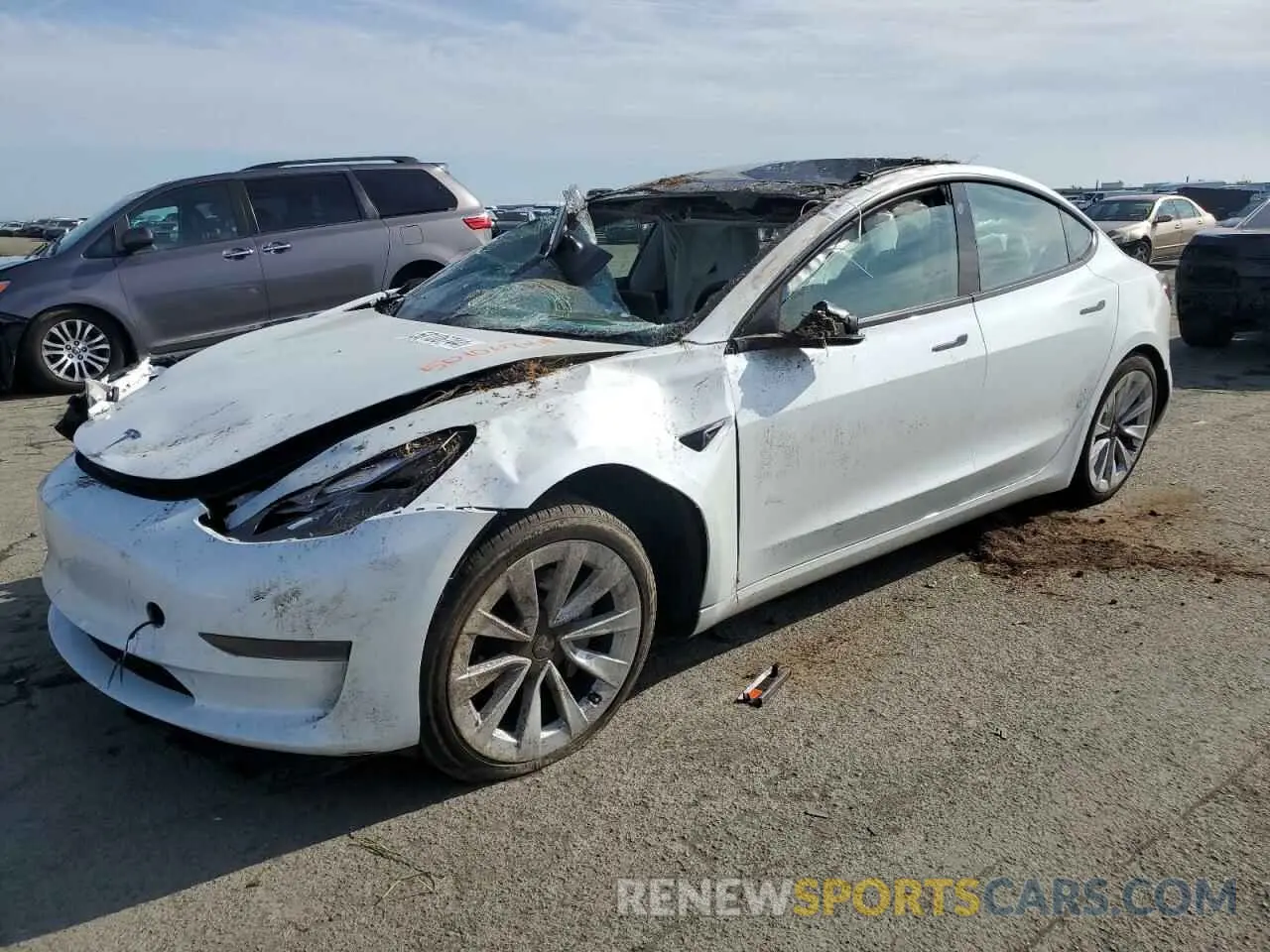1 Фотография поврежденного автомобиля 5YJ3E1EA5PF497788 TESLA MODEL 3 2023