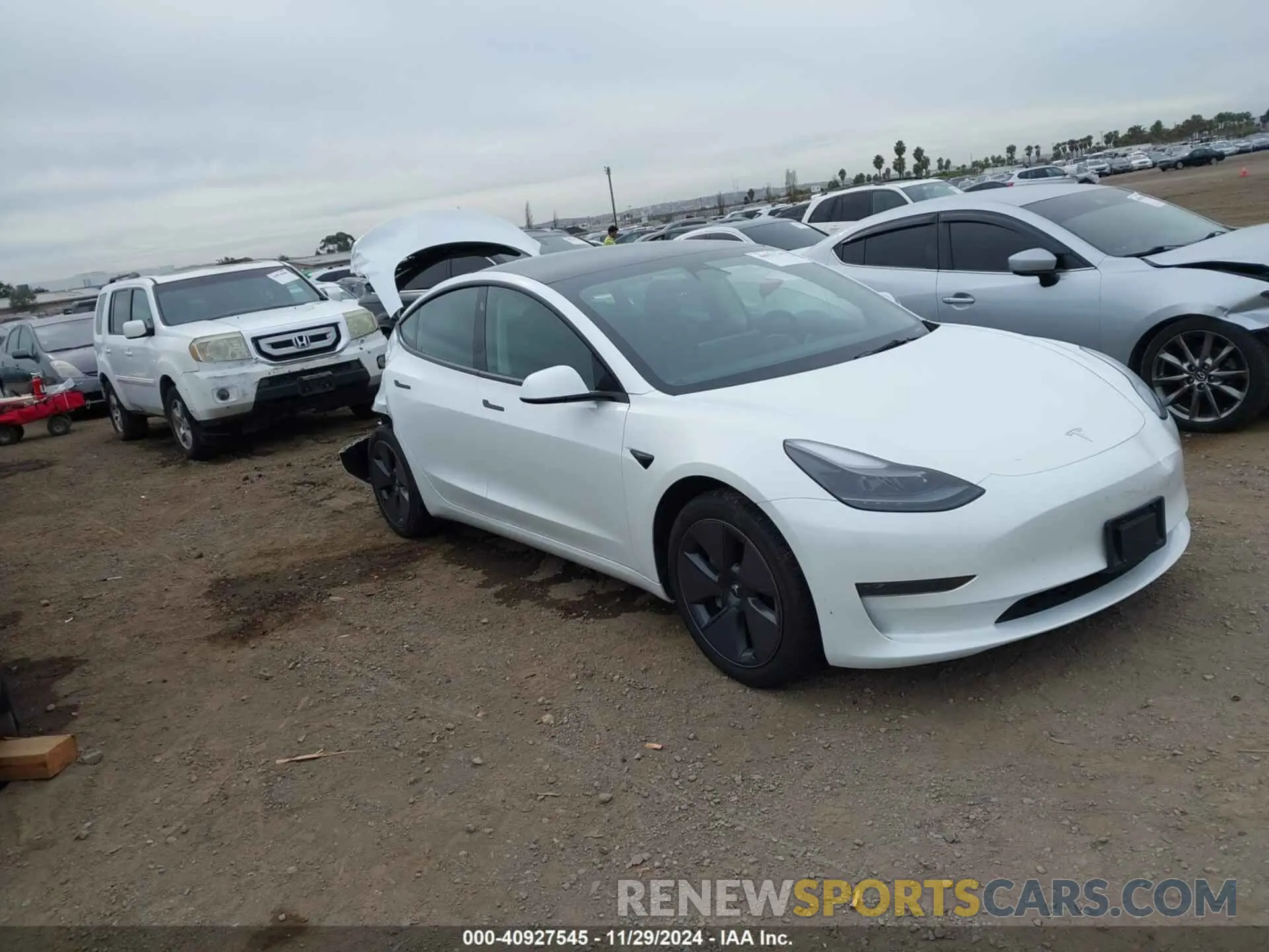 1 Photograph of a damaged car 5YJ3E1EA5PF574689 TESLA MODEL 3 2023
