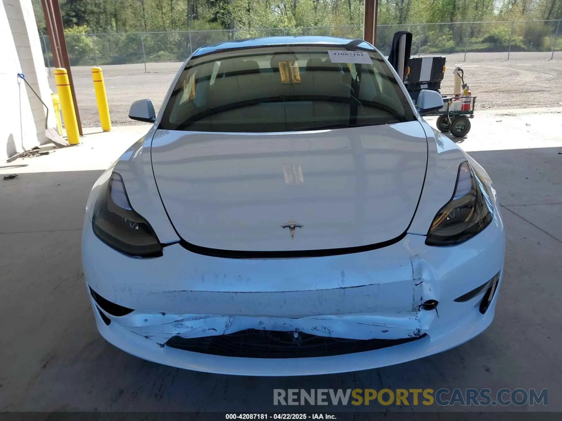 11 Фотография поврежденного автомобиля 5YJ3E1EA5PF610431 TESLA MODEL 3 2023