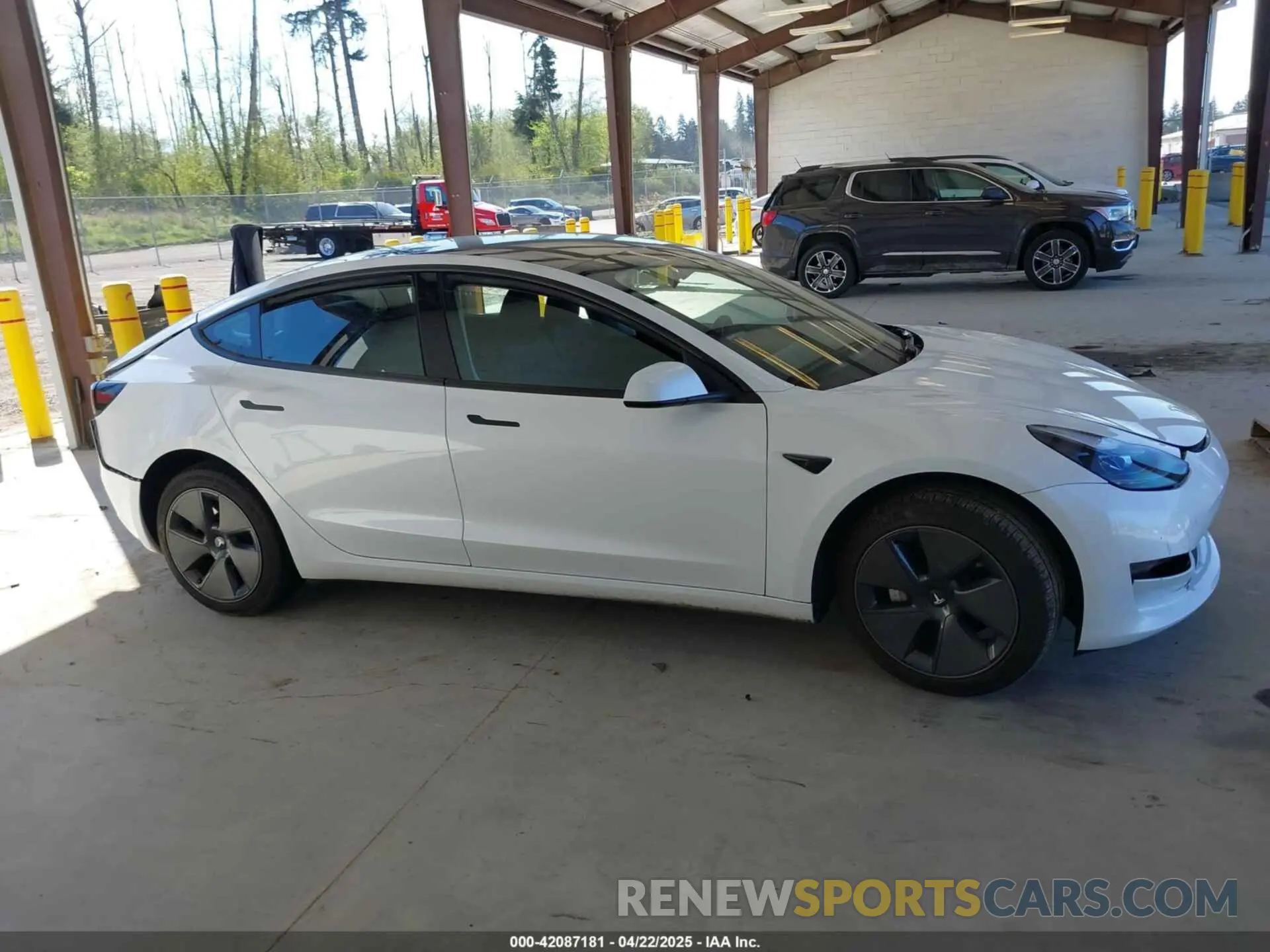 12 Фотография поврежденного автомобиля 5YJ3E1EA5PF610431 TESLA MODEL 3 2023