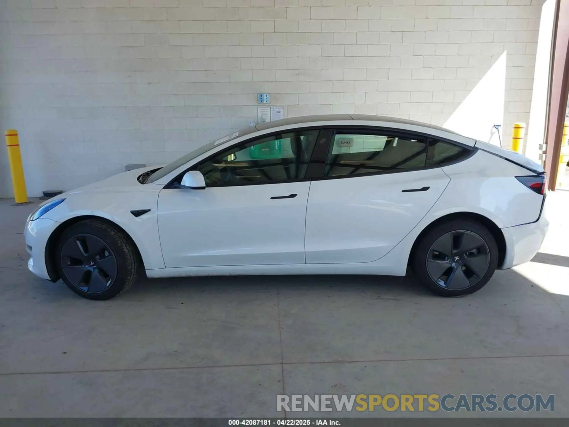 13 Фотография поврежденного автомобиля 5YJ3E1EA5PF610431 TESLA MODEL 3 2023