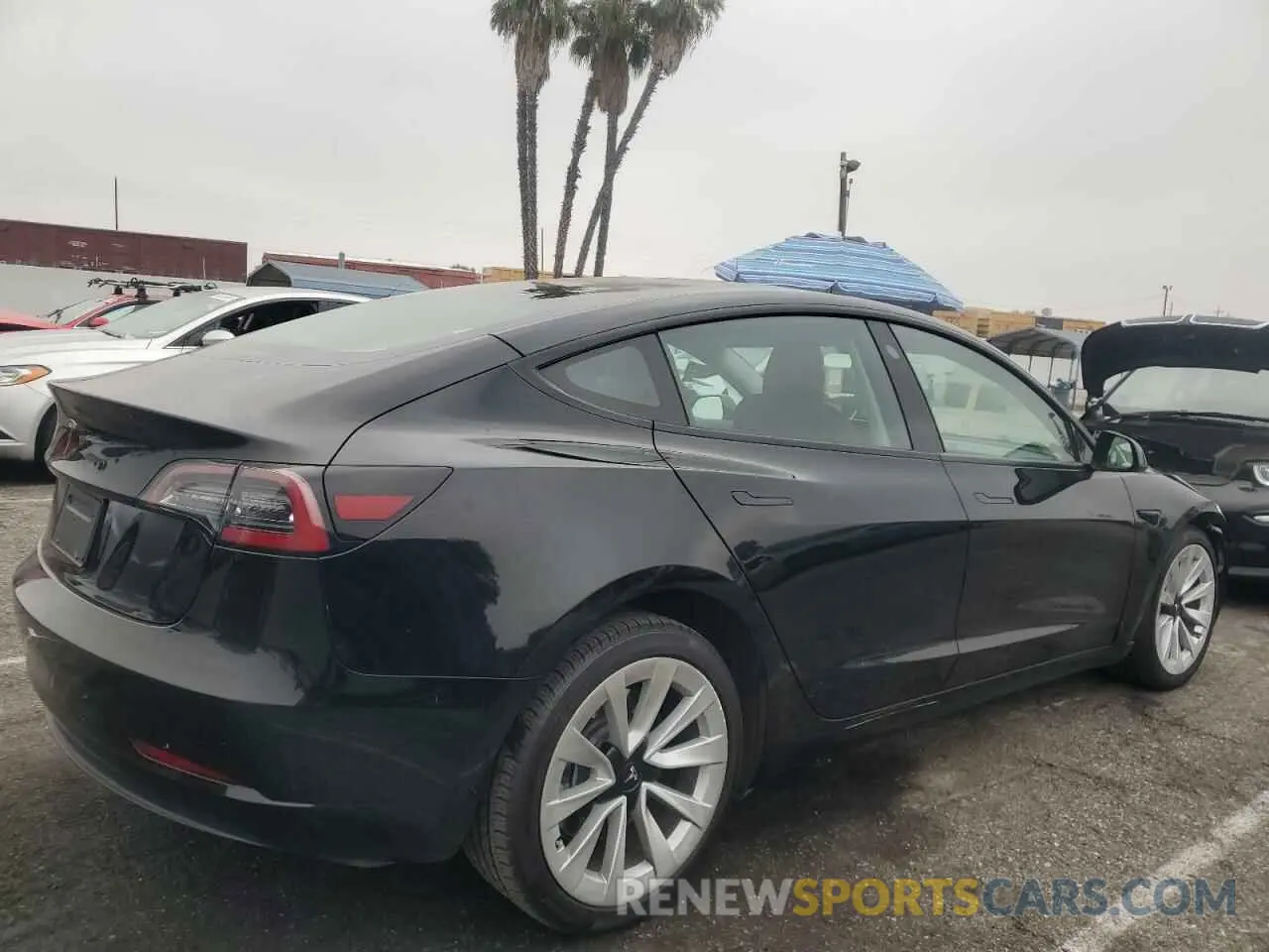 3 Фотография поврежденного автомобиля 5YJ3E1EA6PF439270 TESLA MODEL 3 2023