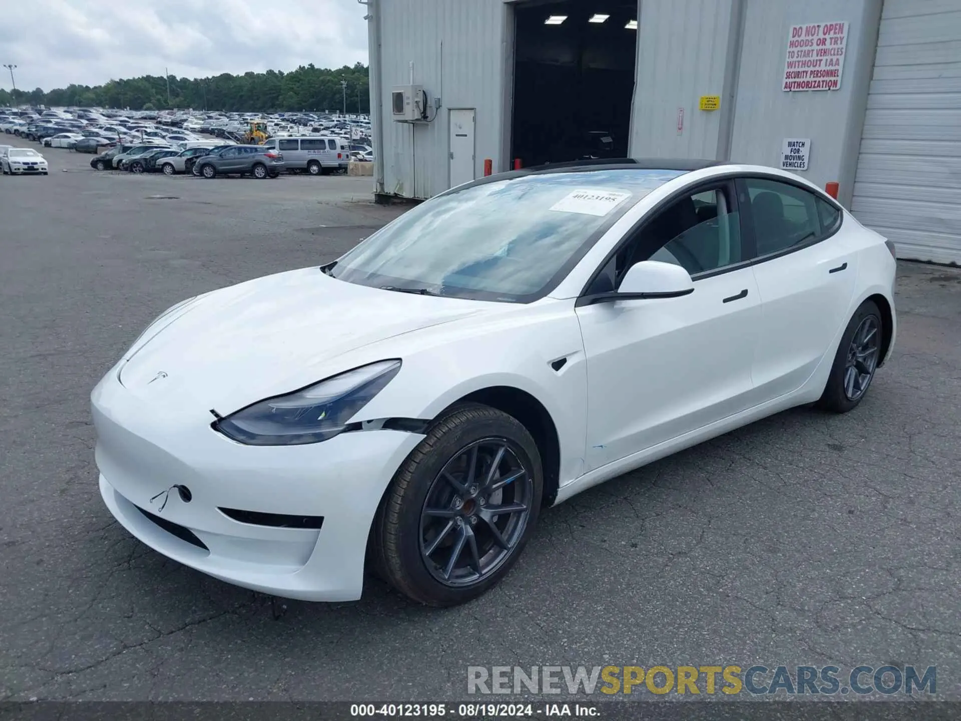 2 Photograph of a damaged car 5YJ3E1EA6PF509527 TESLA MODEL 3 2023