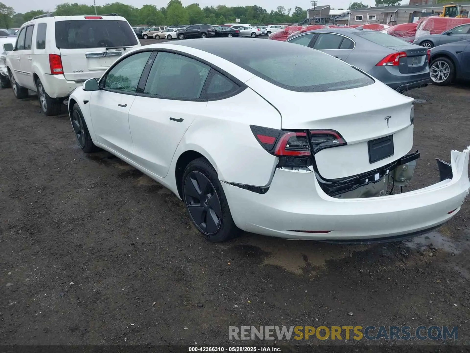 3 Photograph of a damaged car 5YJ3E1EA6PF570876 TESLA MODEL 3 2023