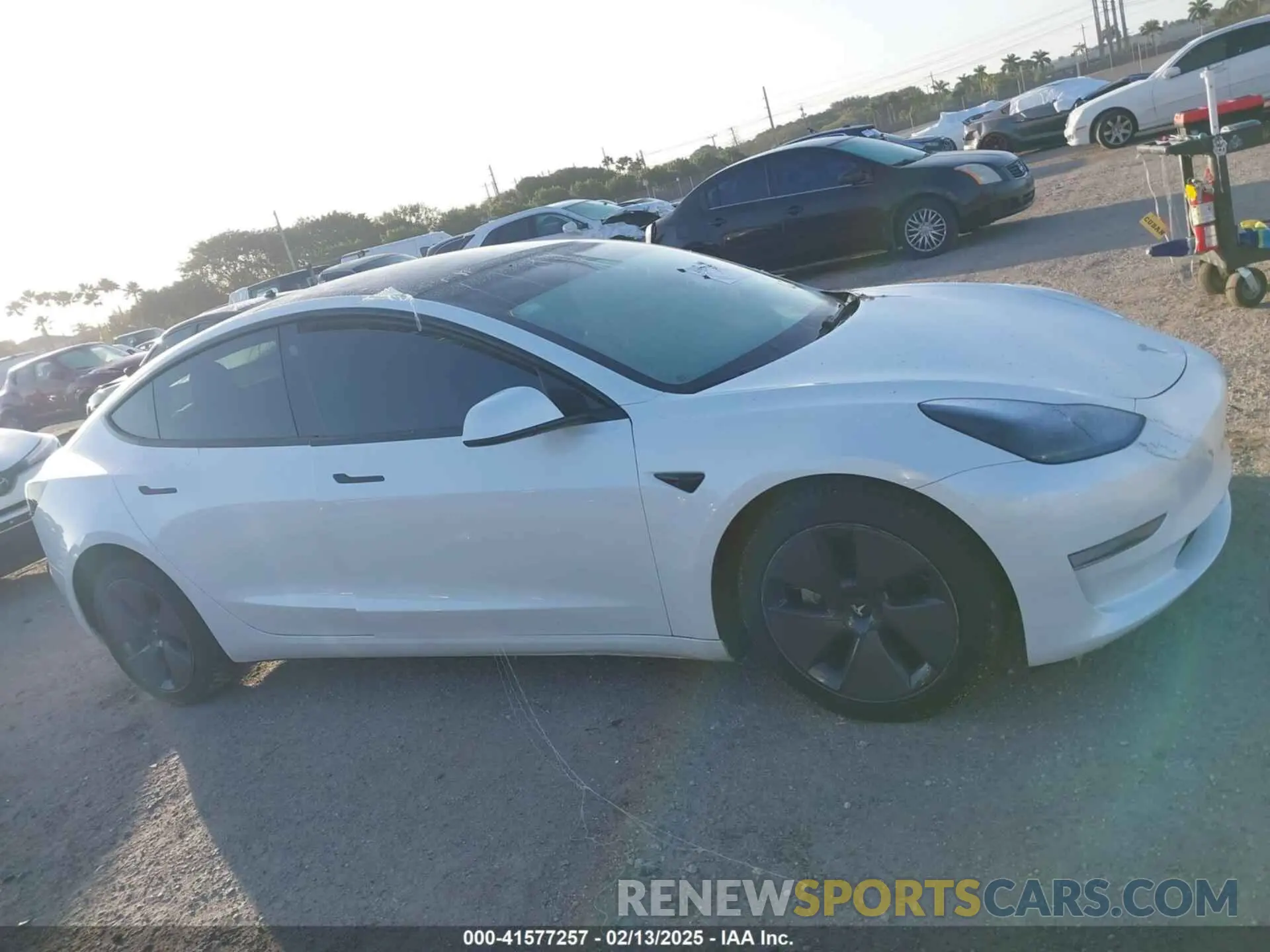 12 Фотография поврежденного автомобиля 5YJ3E1EA6PF595051 TESLA MODEL 3 2023