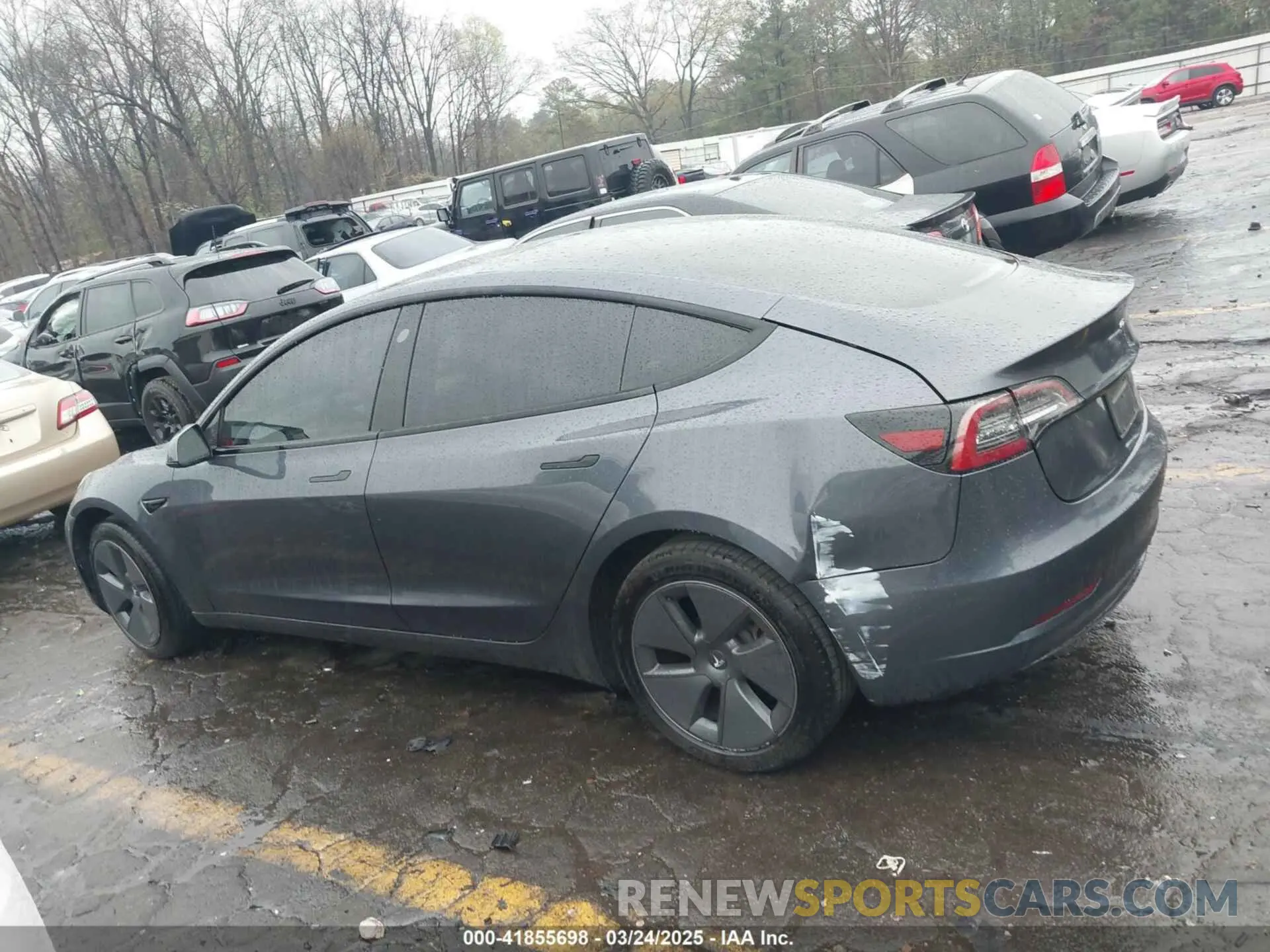 13 Фотография поврежденного автомобиля 5YJ3E1EA7PF403183 TESLA MODEL 3 2023