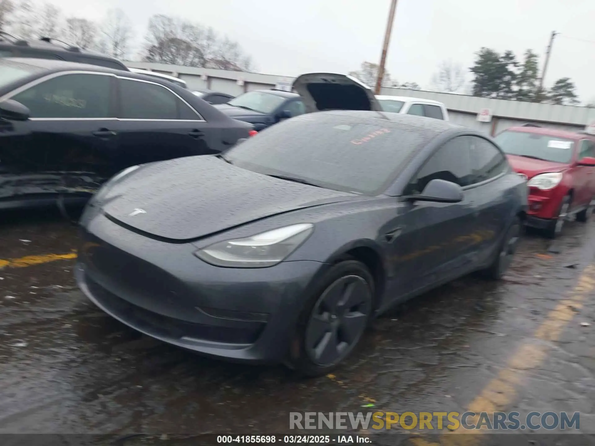 2 Фотография поврежденного автомобиля 5YJ3E1EA7PF403183 TESLA MODEL 3 2023