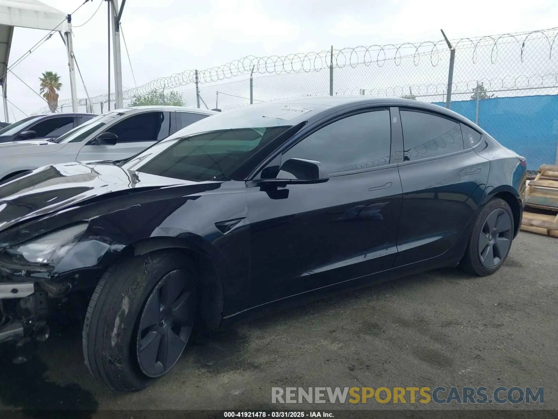 13 Фотография поврежденного автомобиля 5YJ3E1EA7PF473749 TESLA MODEL 3 2023