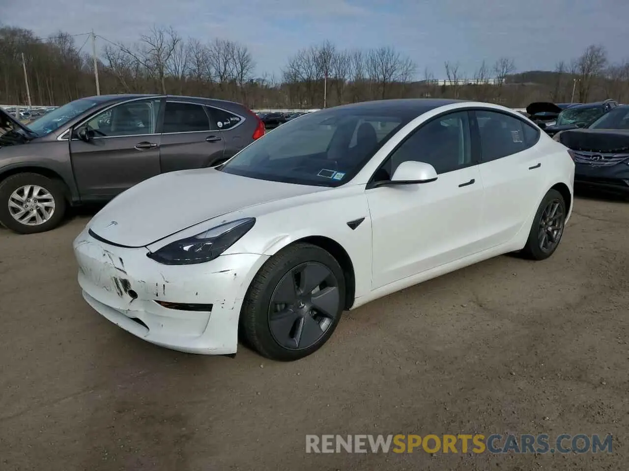 1 Фотография поврежденного автомобиля 5YJ3E1EA7PF561815 TESLA MODEL 3 2023