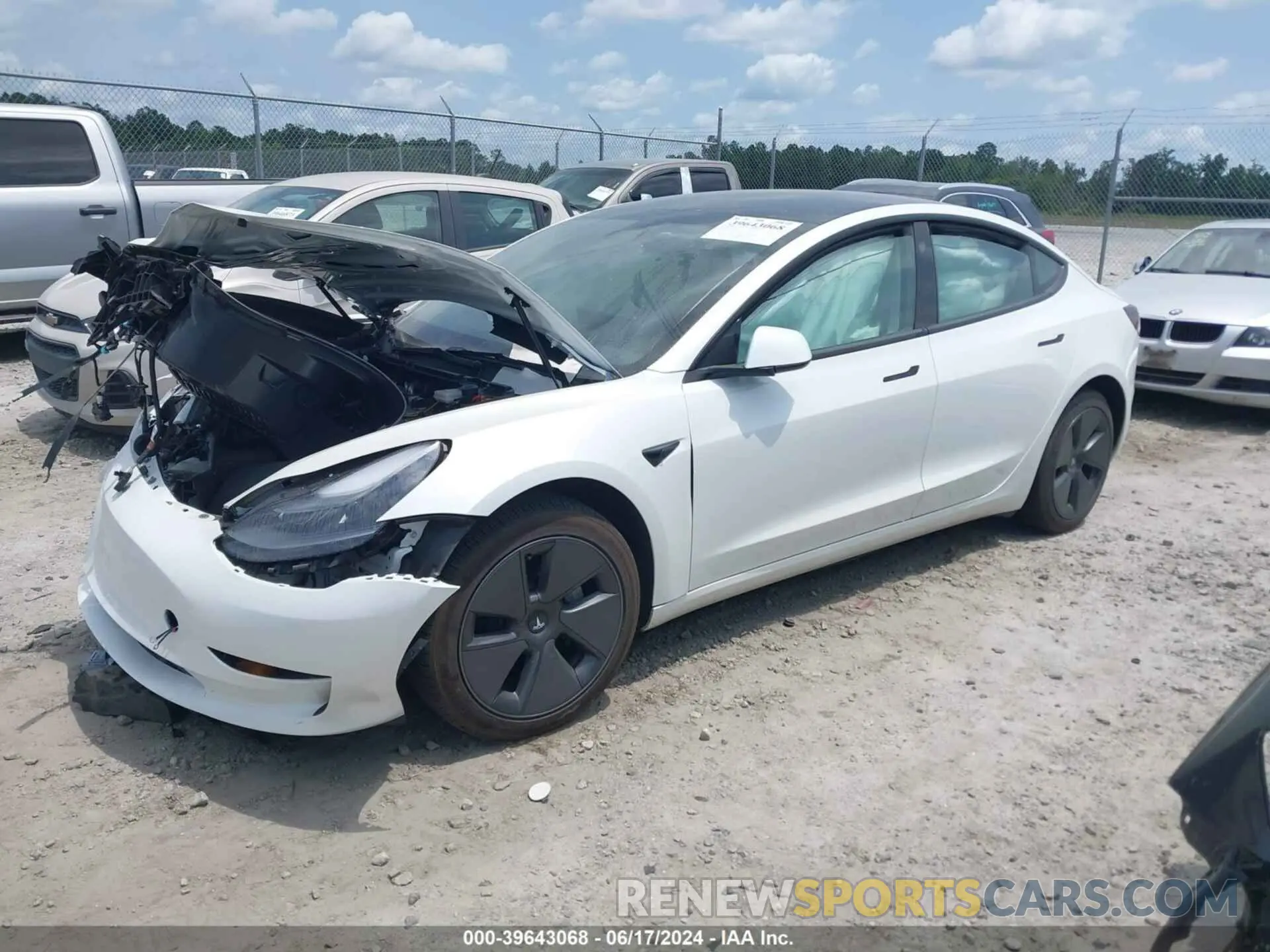2 Photograph of a damaged car 5YJ3E1EA7PF568456 TESLA MODEL 3 2023