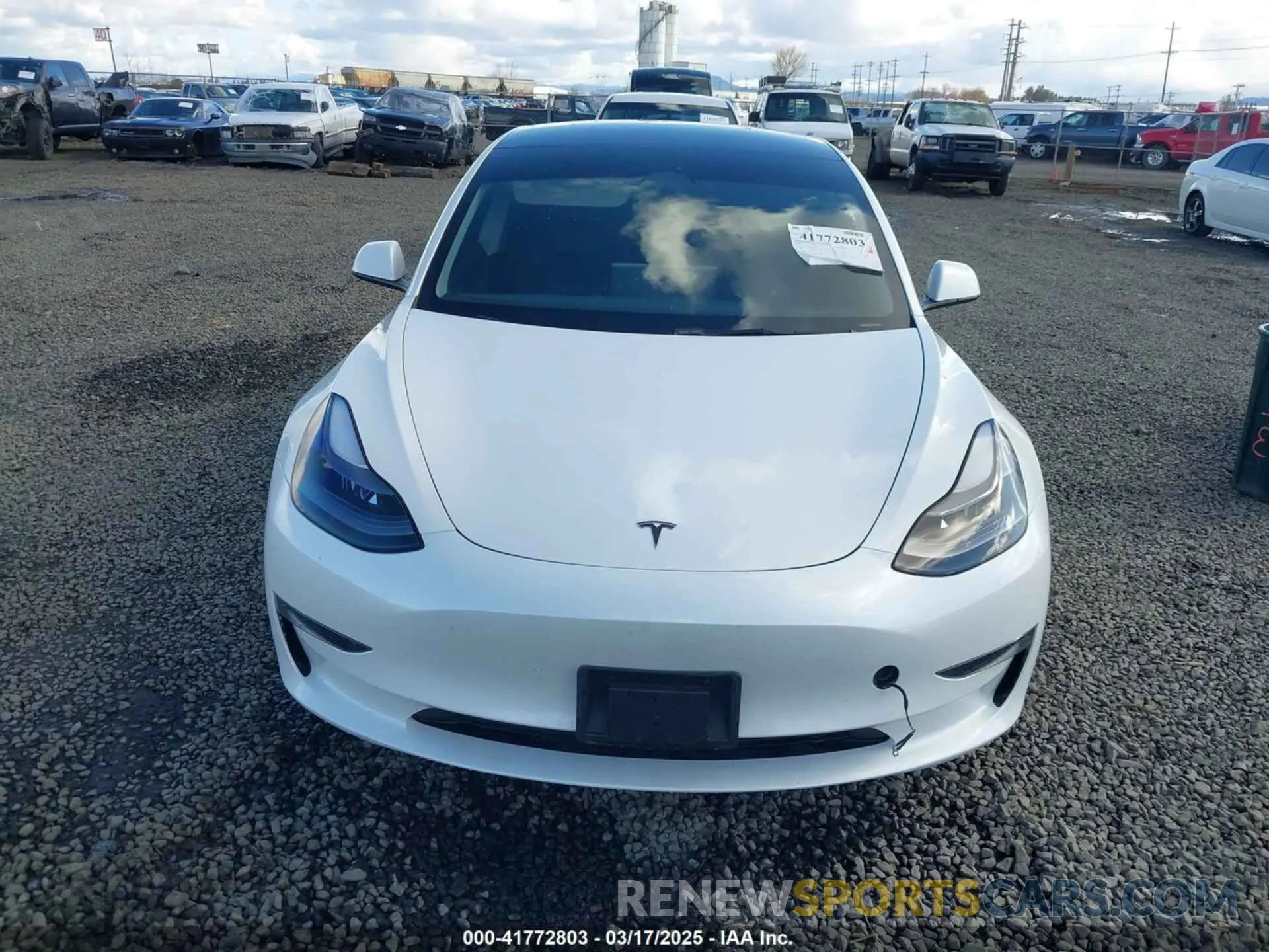 12 Фотография поврежденного автомобиля 5YJ3E1EA7PF570871 TESLA MODEL 3 2023