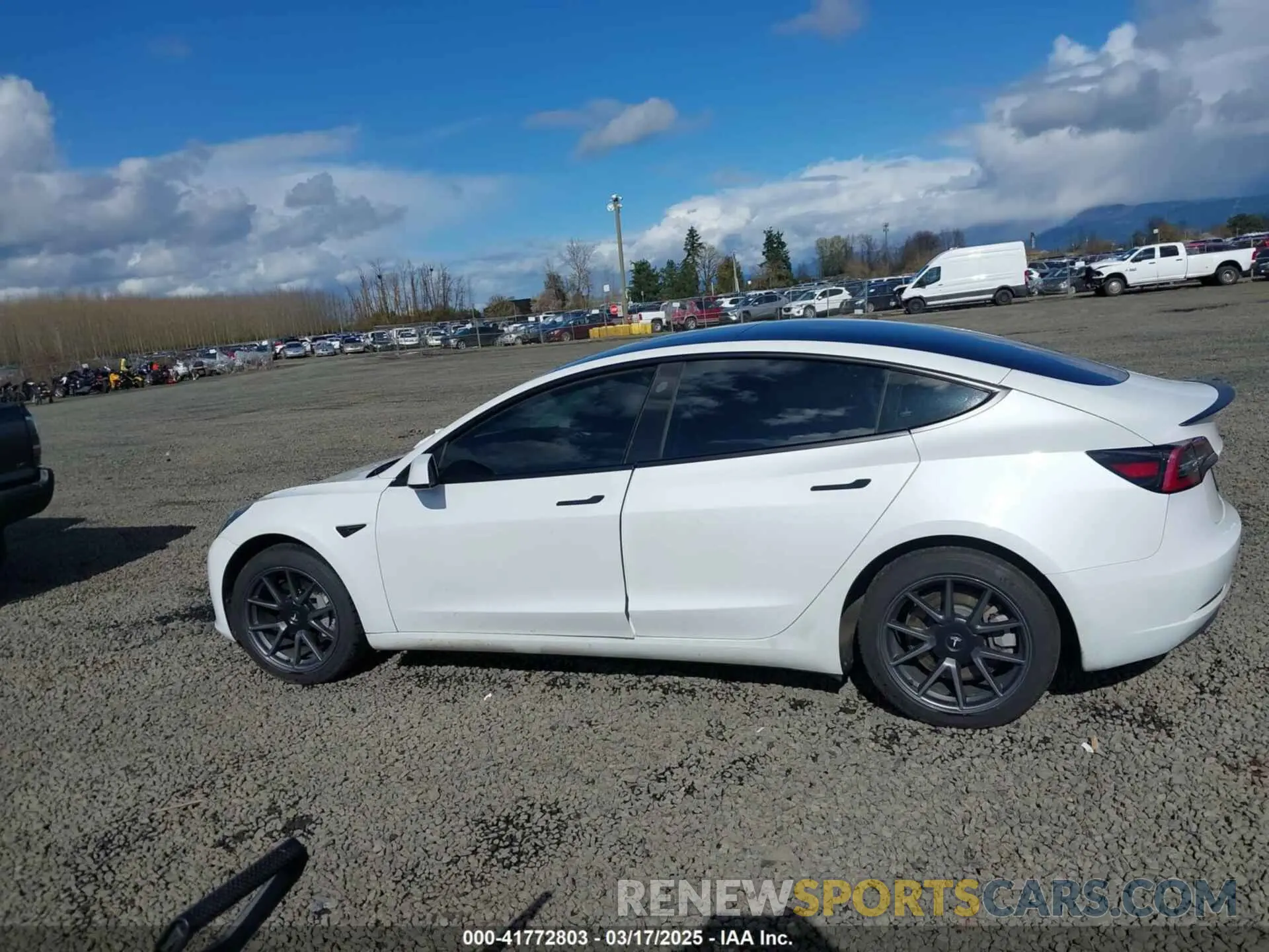 14 Фотография поврежденного автомобиля 5YJ3E1EA7PF570871 TESLA MODEL 3 2023