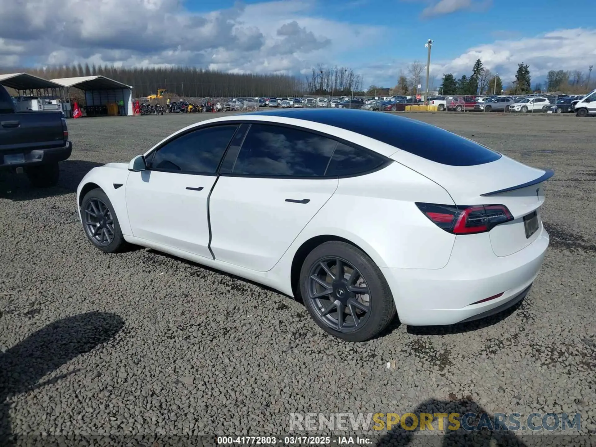 3 Фотография поврежденного автомобиля 5YJ3E1EA7PF570871 TESLA MODEL 3 2023