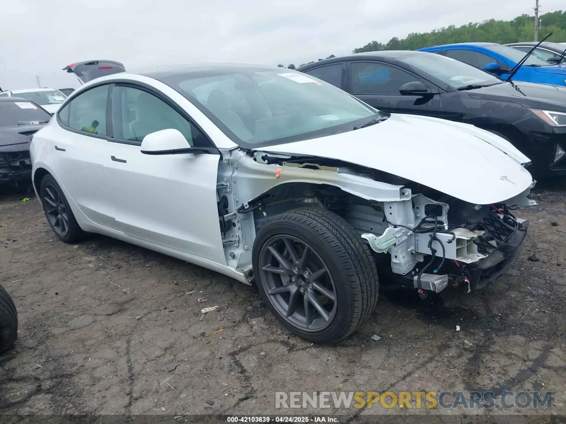 1 Фотография поврежденного автомобиля 5YJ3E1EA7PF604971 TESLA MODEL 3 2023