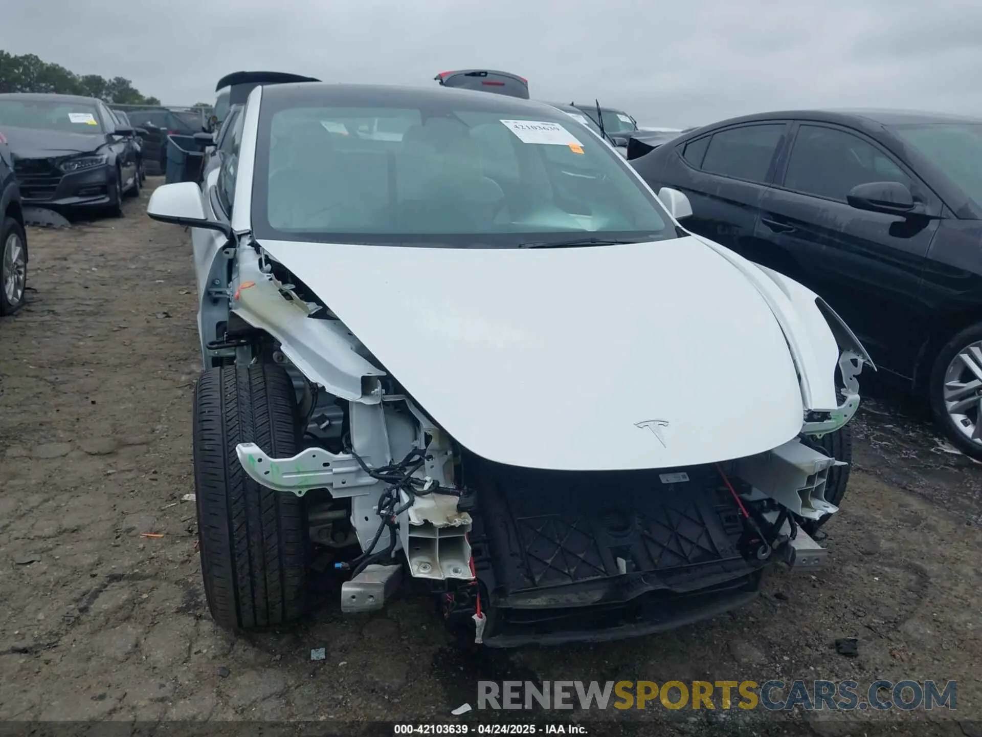 11 Фотография поврежденного автомобиля 5YJ3E1EA7PF604971 TESLA MODEL 3 2023
