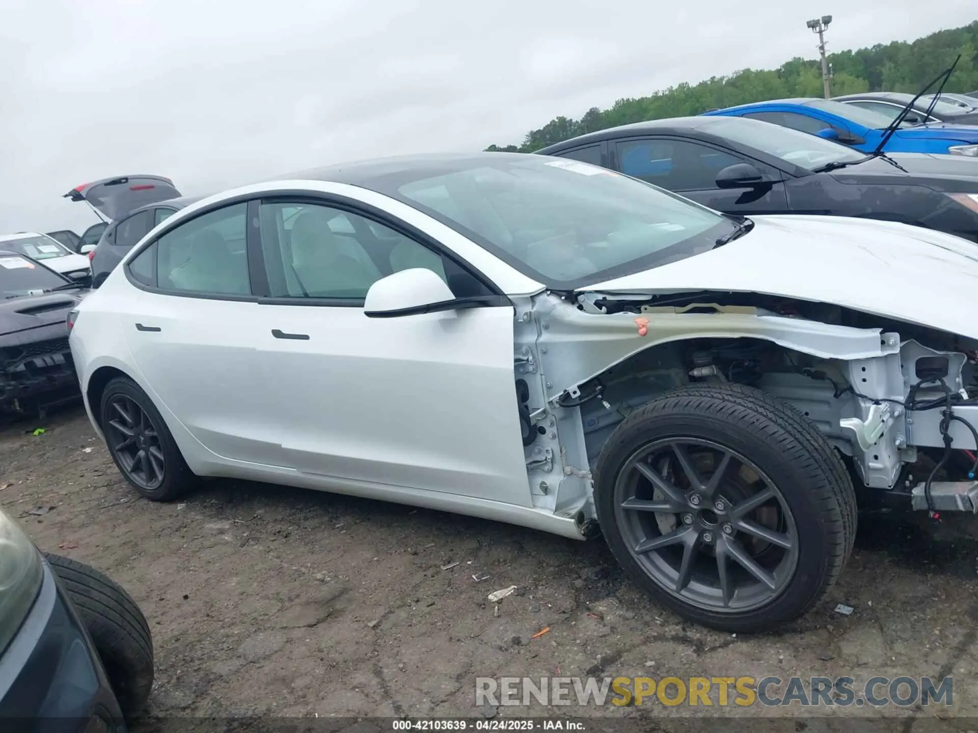 12 Фотография поврежденного автомобиля 5YJ3E1EA7PF604971 TESLA MODEL 3 2023