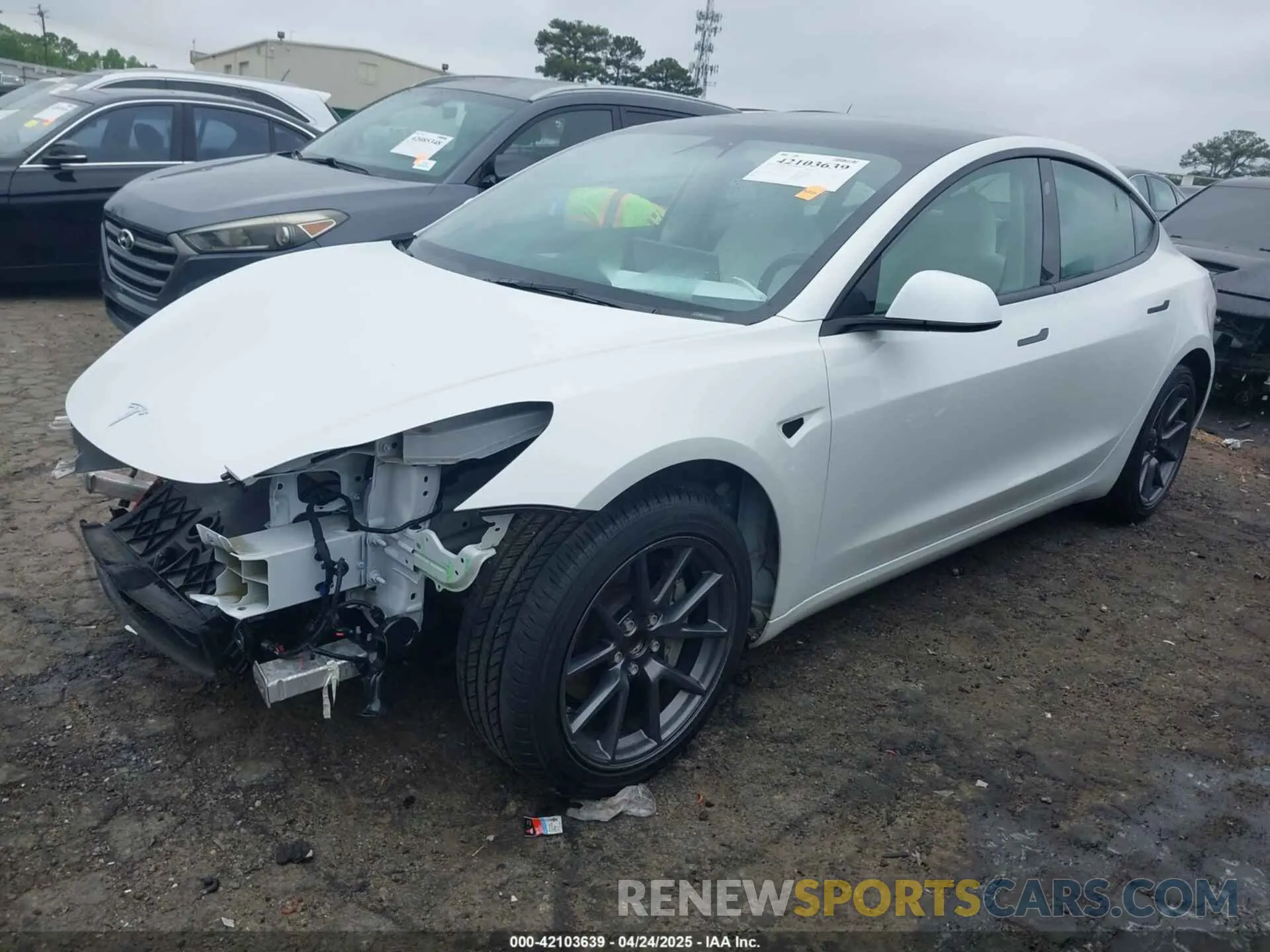 2 Фотография поврежденного автомобиля 5YJ3E1EA7PF604971 TESLA MODEL 3 2023
