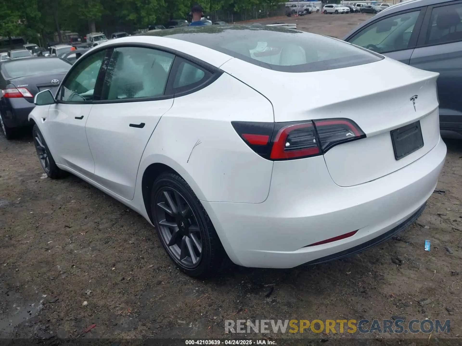 3 Фотография поврежденного автомобиля 5YJ3E1EA7PF604971 TESLA MODEL 3 2023