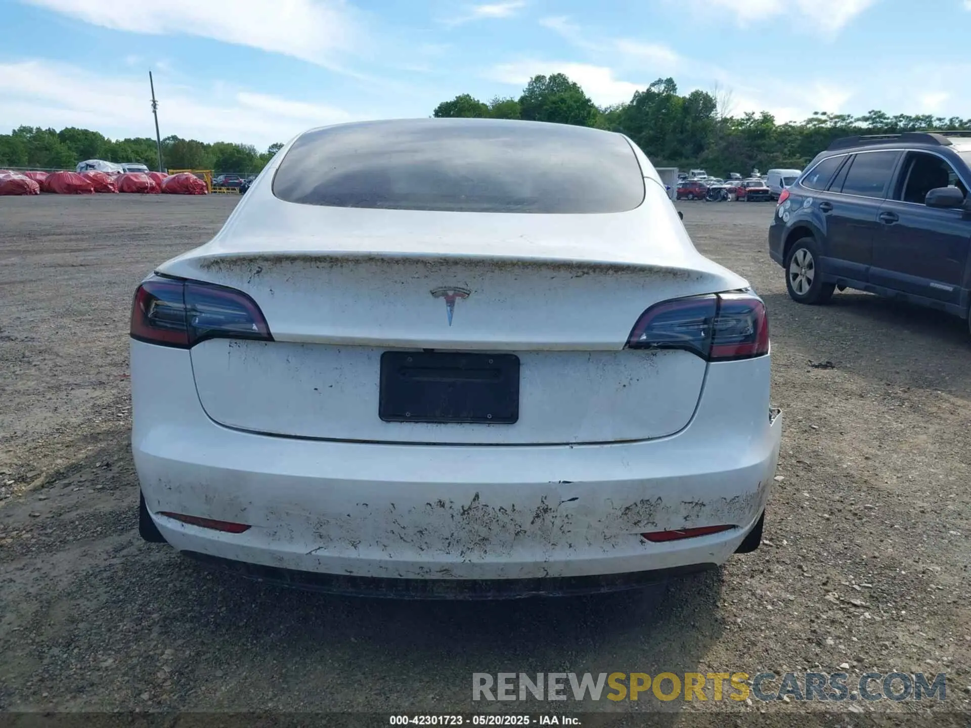 15 Фотография поврежденного автомобиля 5YJ3E1EA8PF575061 TESLA MODEL 3 2023