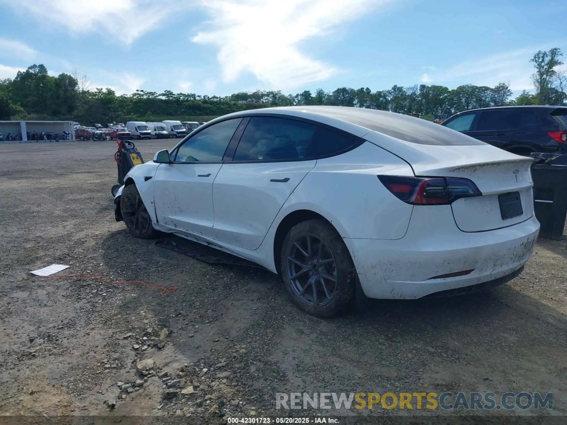 3 Фотография поврежденного автомобиля 5YJ3E1EA8PF575061 TESLA MODEL 3 2023