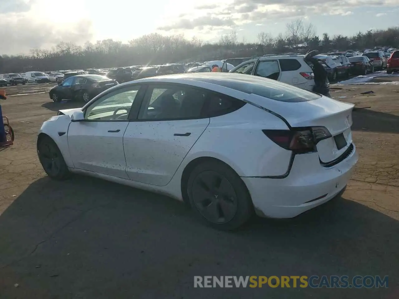 2 Photograph of a damaged car 5YJ3E1EA8PF600458 TESLA MODEL 3 2023