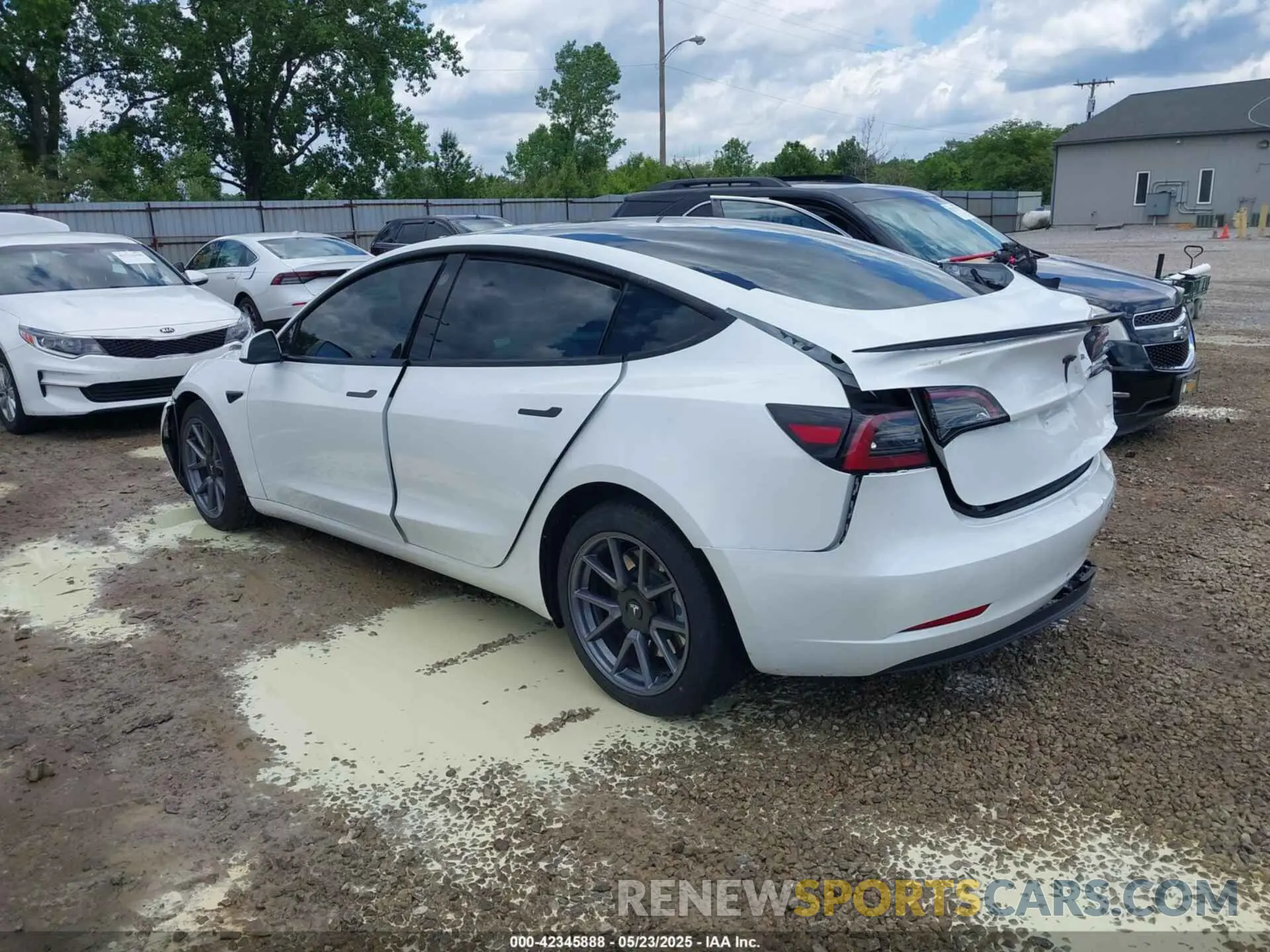 3 Фотография поврежденного автомобиля 5YJ3E1EA8PF608429 TESLA MODEL 3 2023