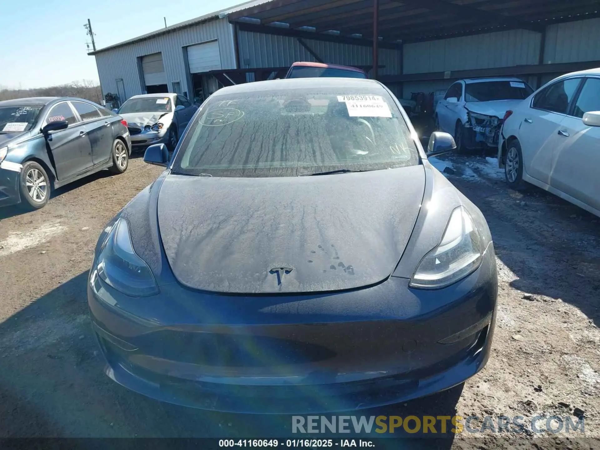 11 Фотография поврежденного автомобиля 5YJ3E1EA9PF548502 TESLA MODEL 3 2023