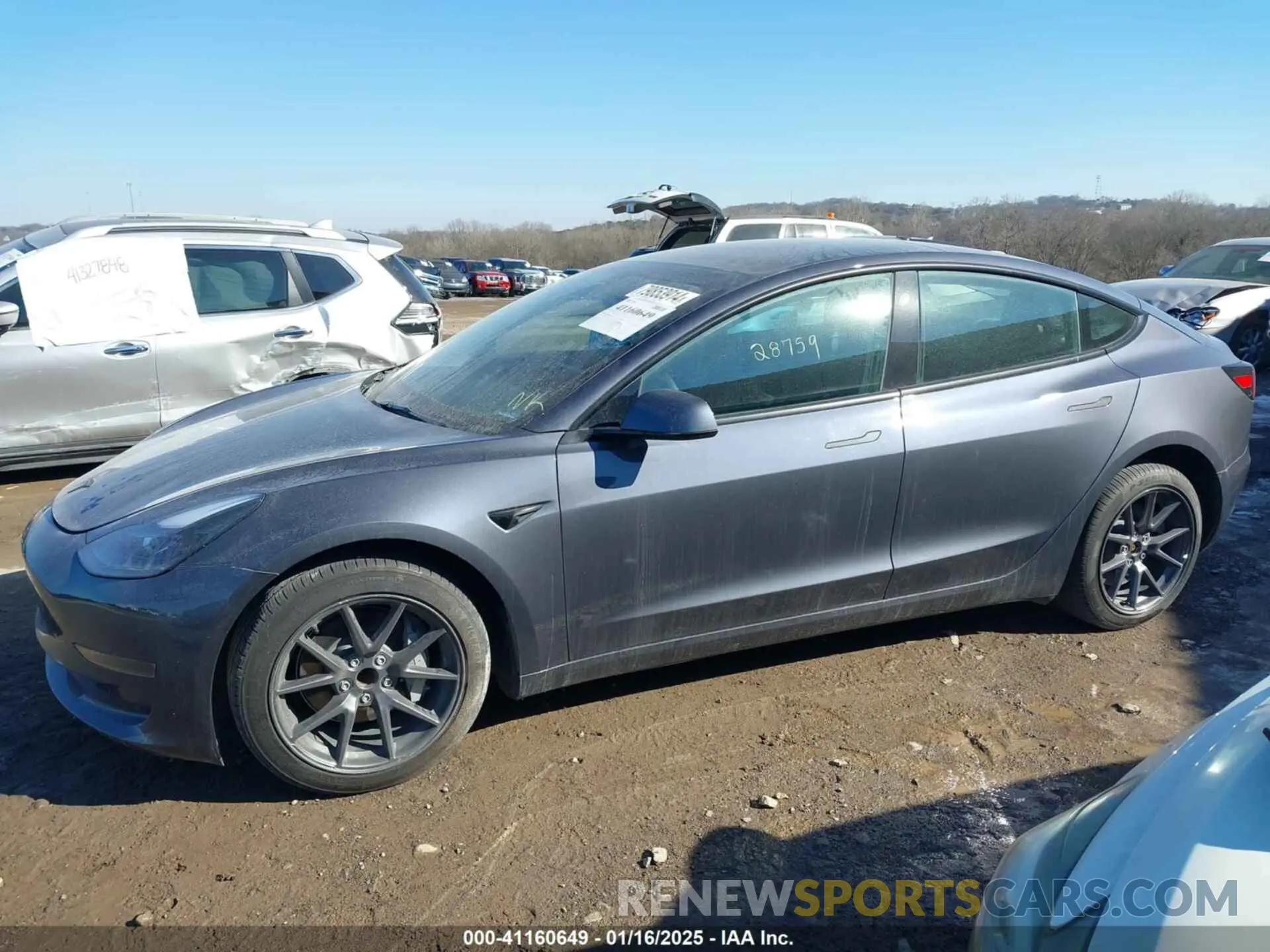 13 Фотография поврежденного автомобиля 5YJ3E1EA9PF548502 TESLA MODEL 3 2023