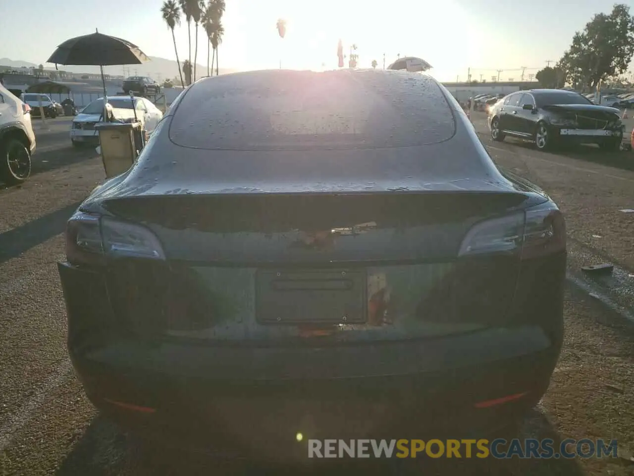 6 Фотография поврежденного автомобиля 5YJ3E1EA9PF567504 TESLA MODEL 3 2023