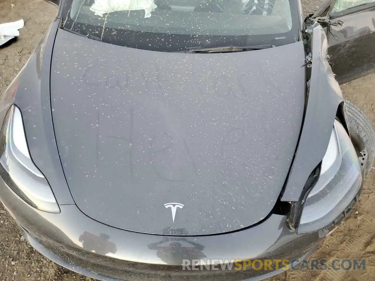 11 Фотография поврежденного автомобиля 5YJ3E1EA9PF642587 TESLA MODEL 3 2023