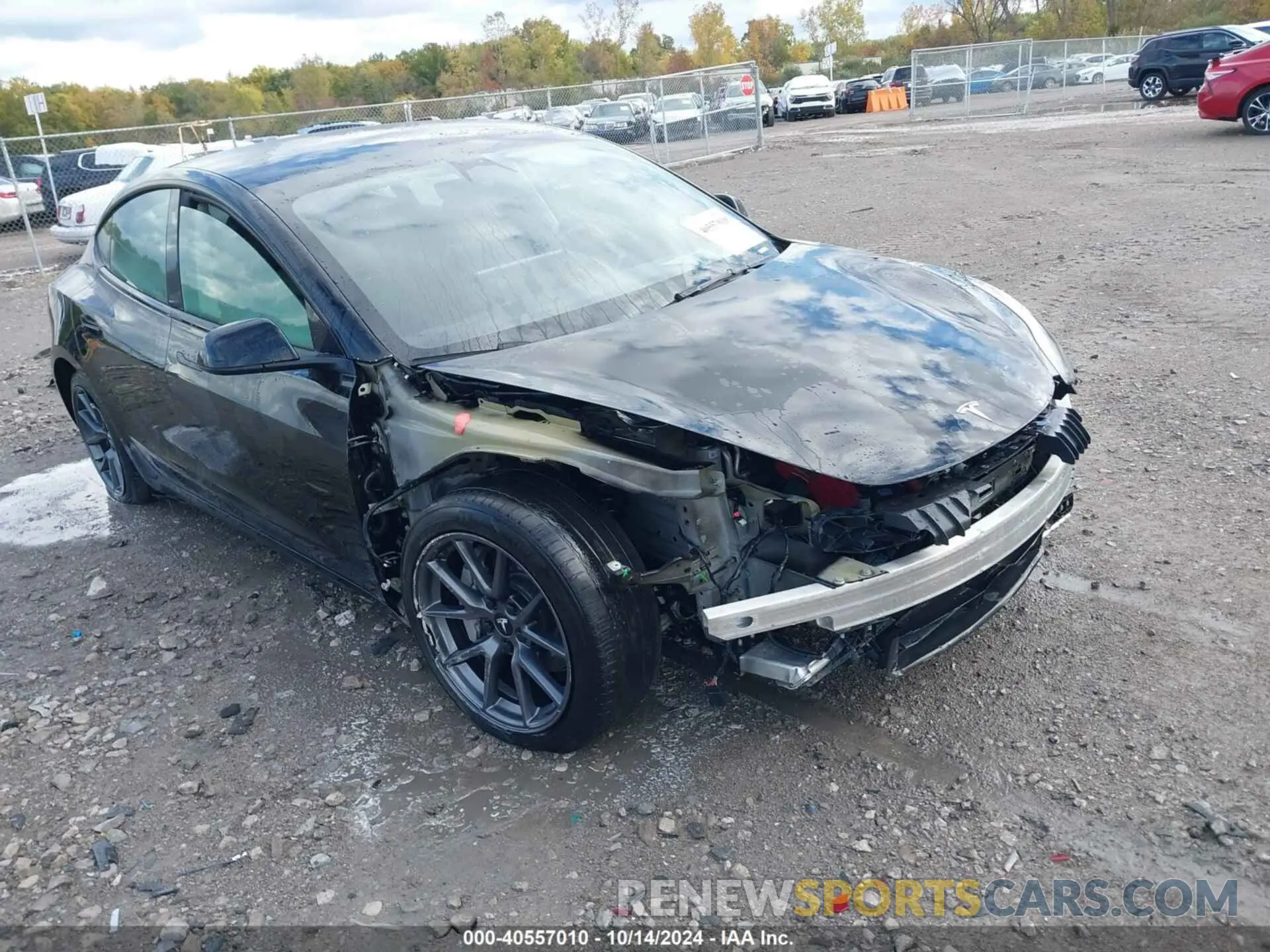 1 Фотография поврежденного автомобиля 5YJ3E1EAXPF462728 TESLA MODEL 3 2023