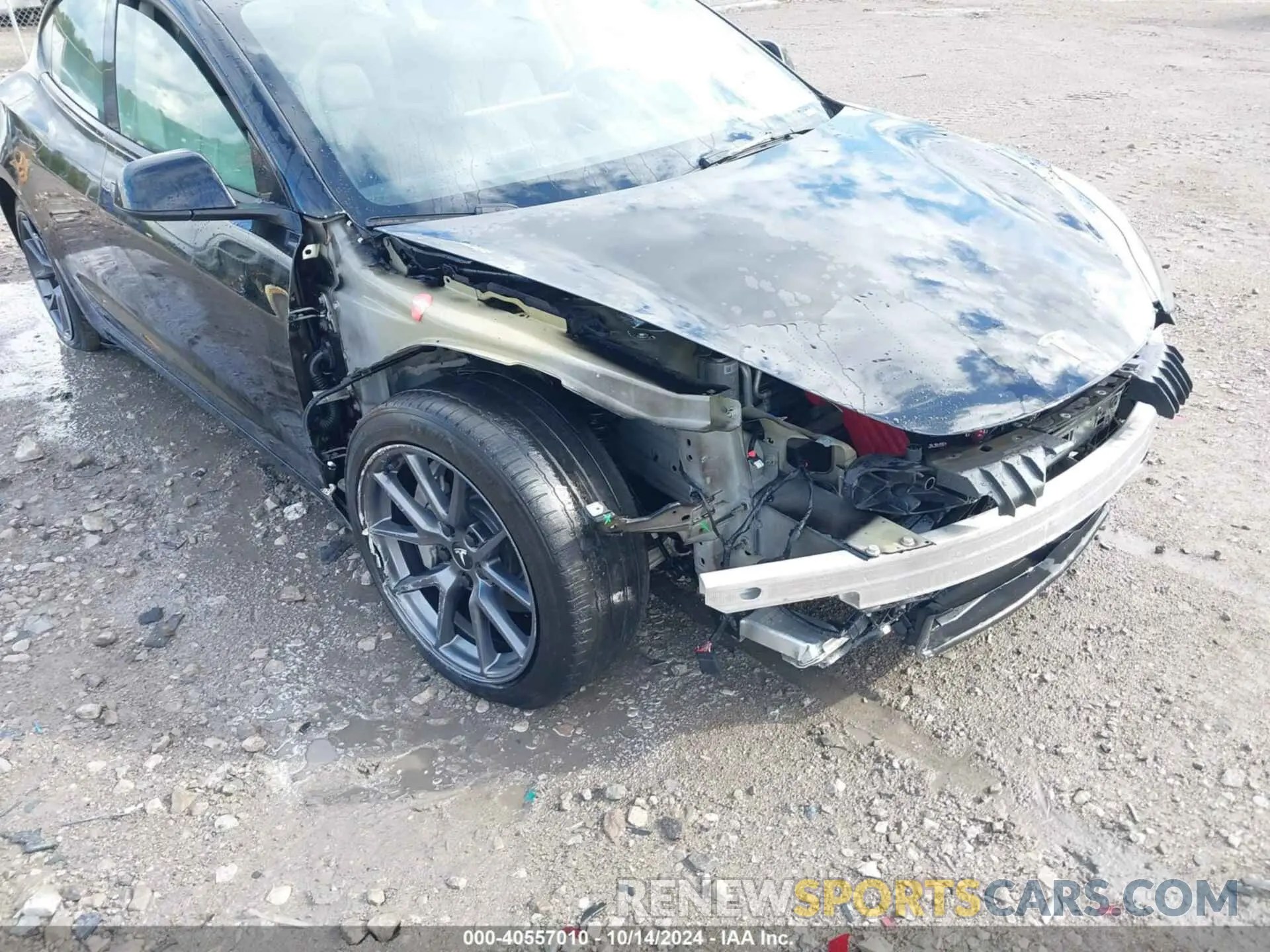6 Фотография поврежденного автомобиля 5YJ3E1EAXPF462728 TESLA MODEL 3 2023